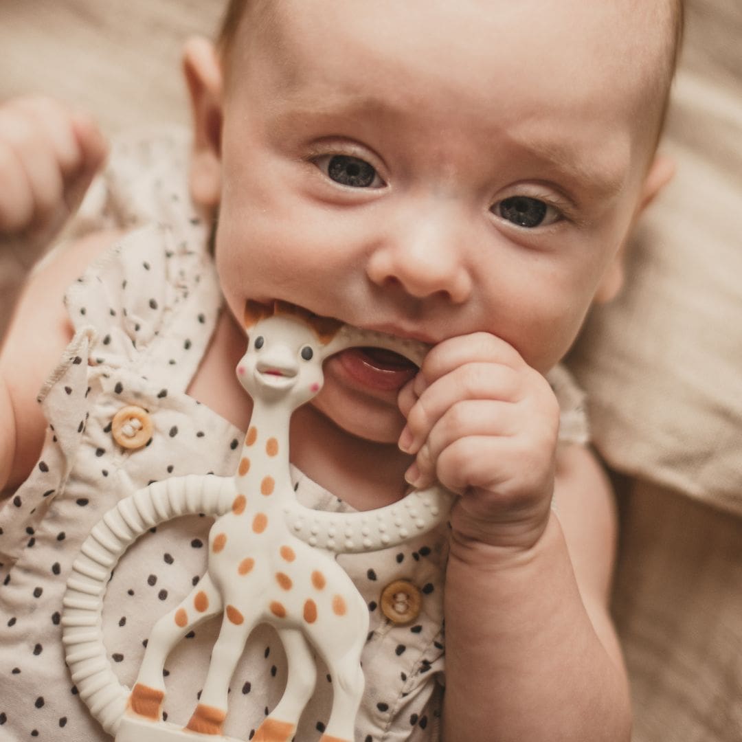 Bijtring Sophie de Giraf so pure soft