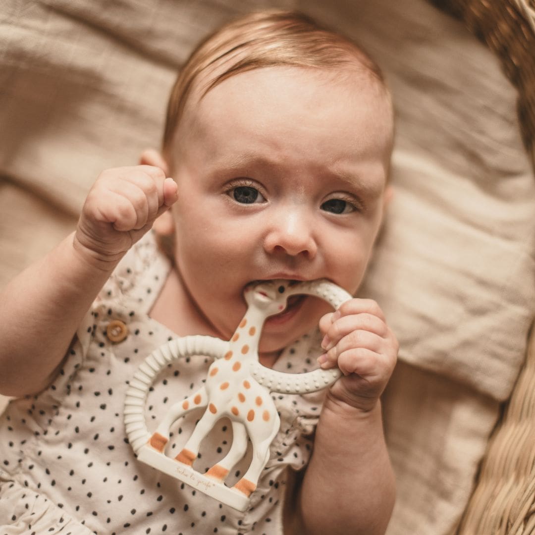 Bijtring Sophie de Giraf so pure soft