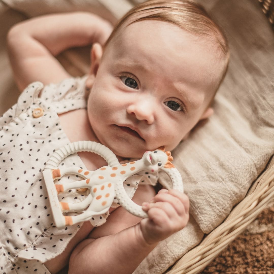 Bijtring Sophie de Giraf so pure soft