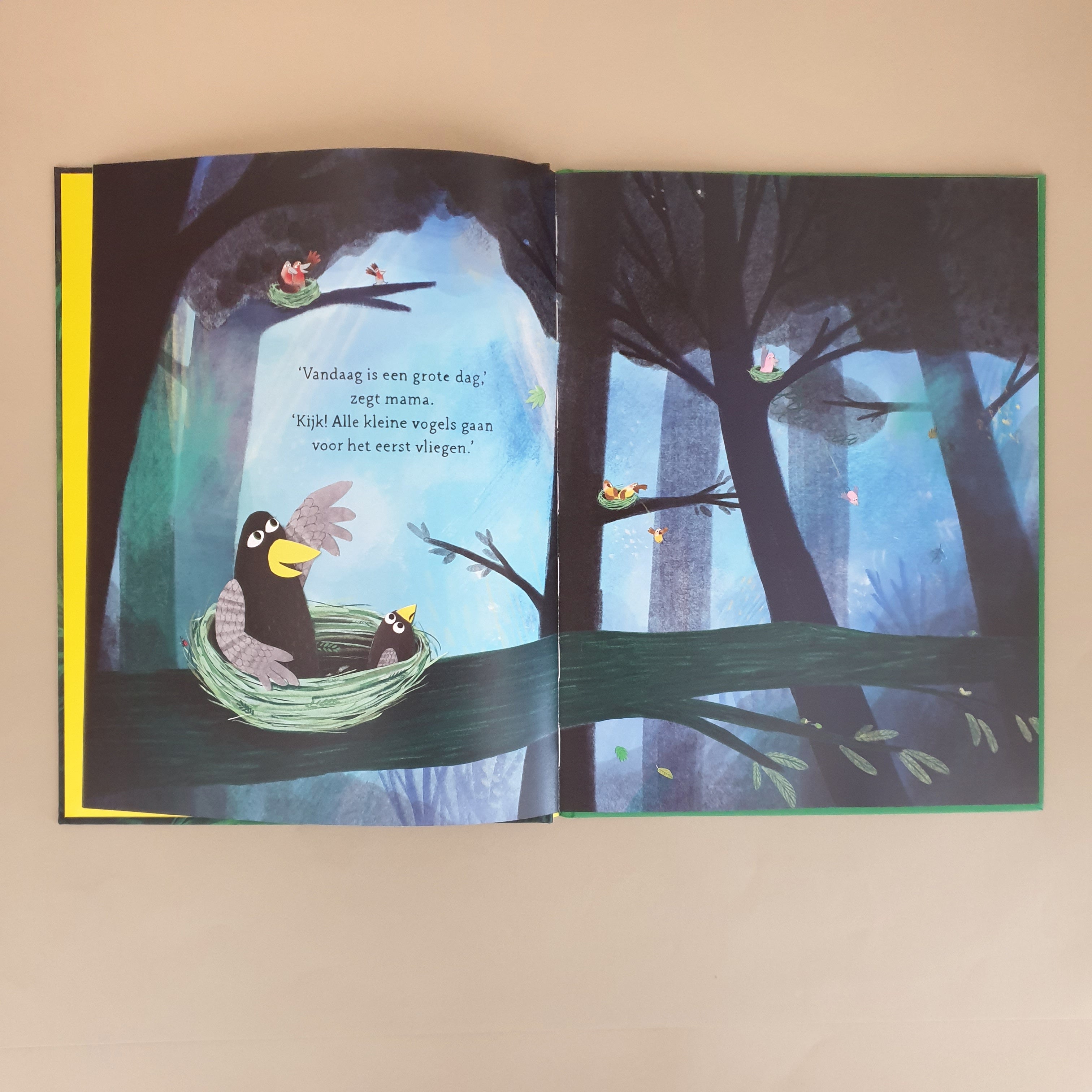 Prentenboek Coco kan het van Loes Riphagen | Studio Bambacht