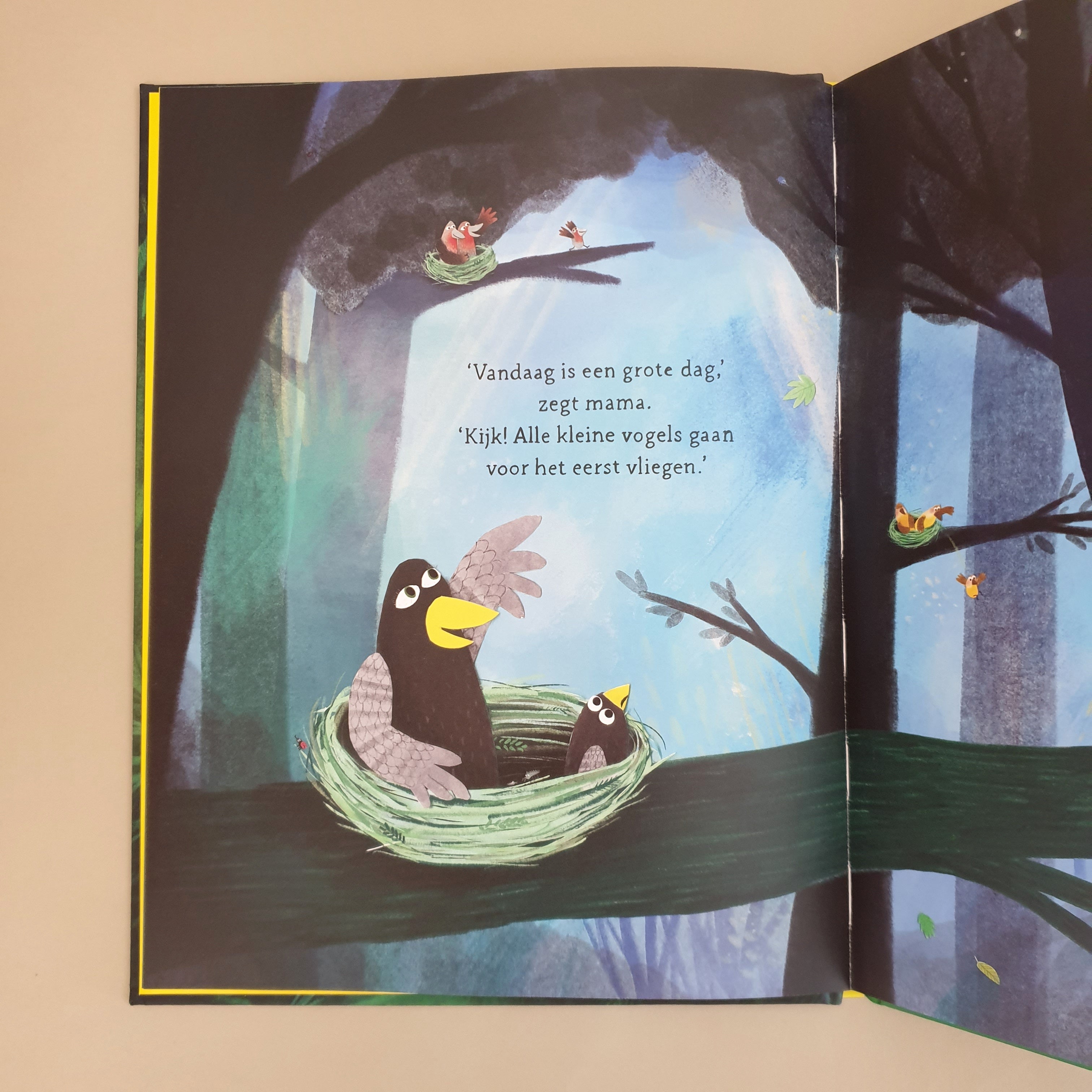 Prentenboek Coco kan het van Loes Riphagen | Studio Bambacht