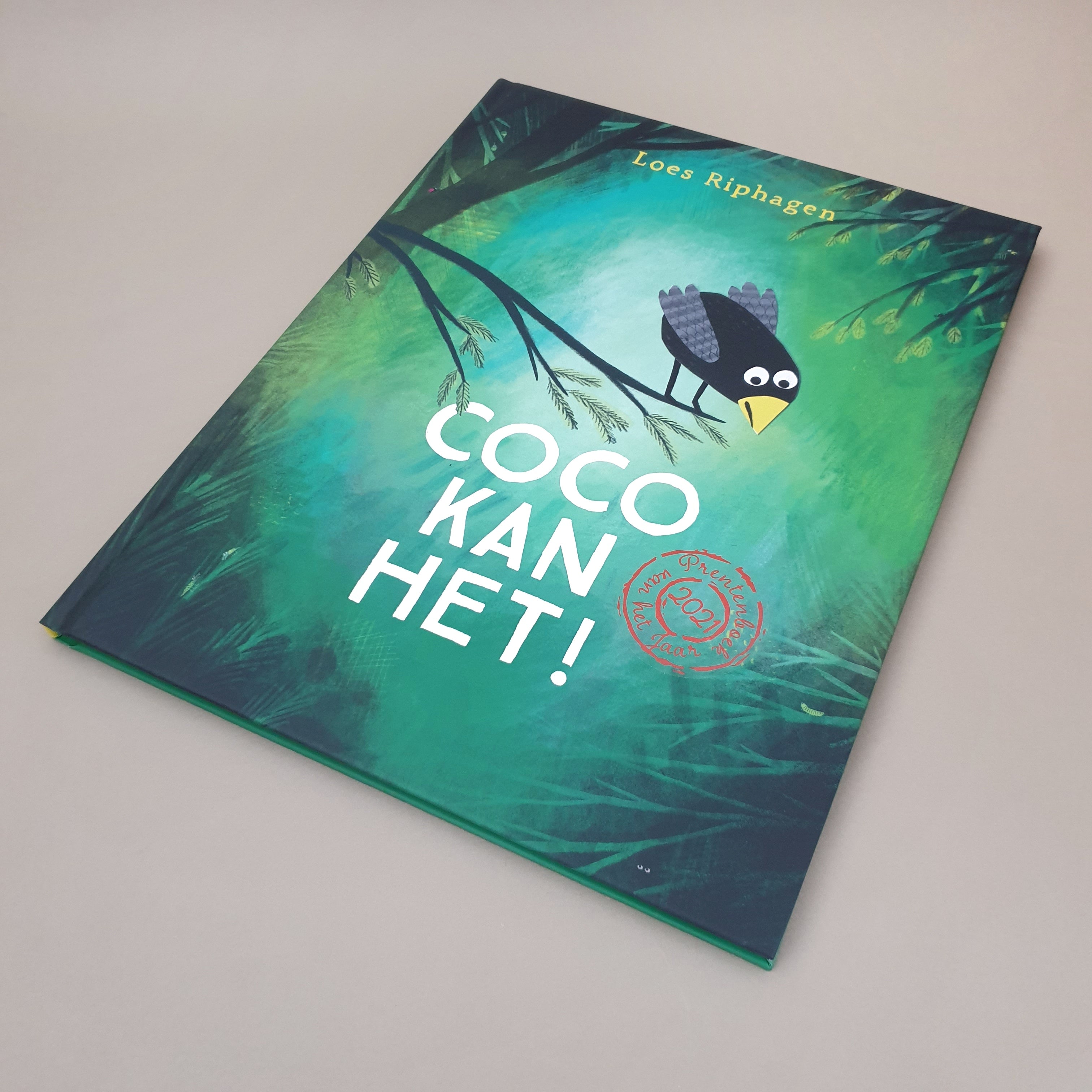 Prentenboek Coco kan het van Loes Riphagen | Studio Bambacht