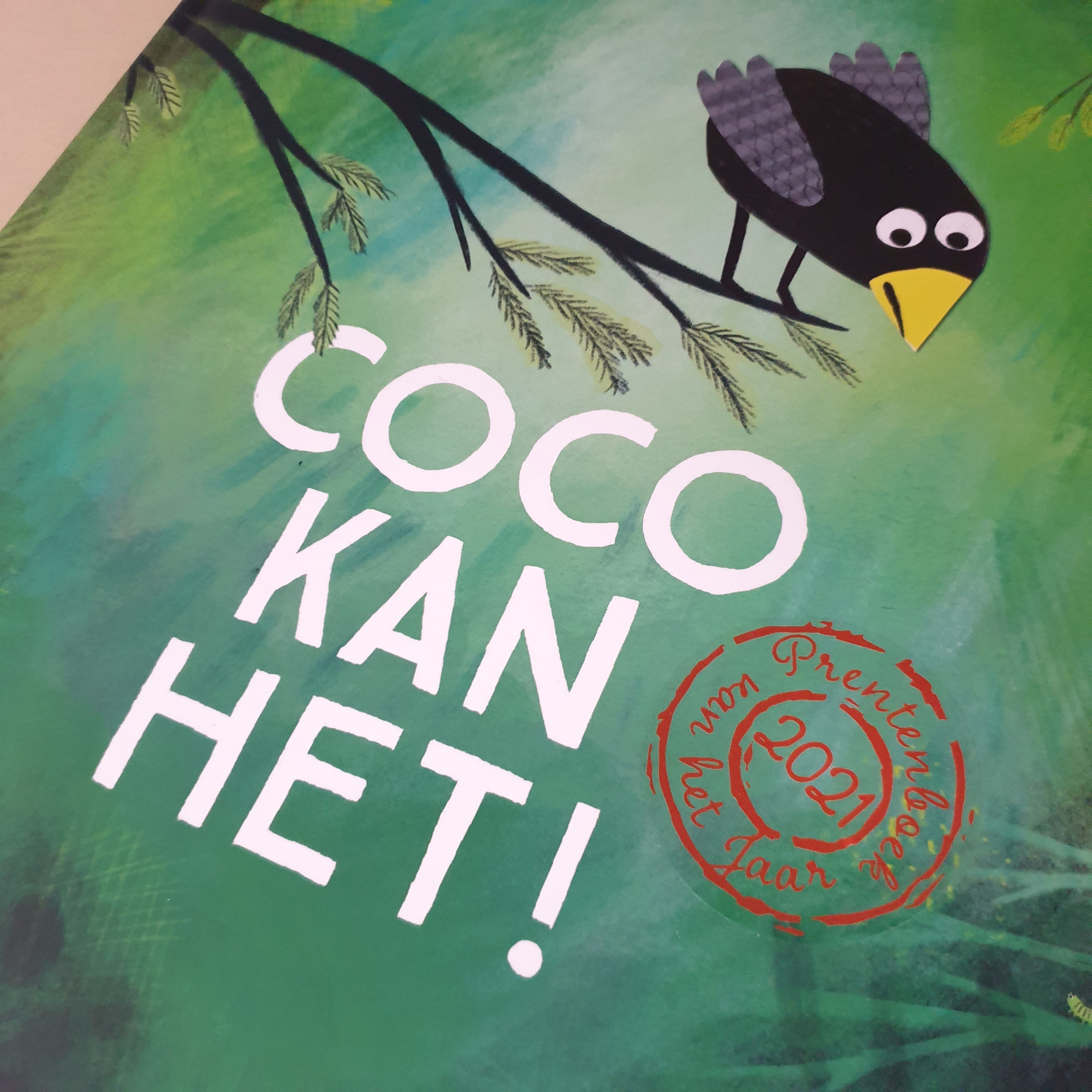 Prentenboek Coco kan het van Loes Riphagen | Studio Bambacht