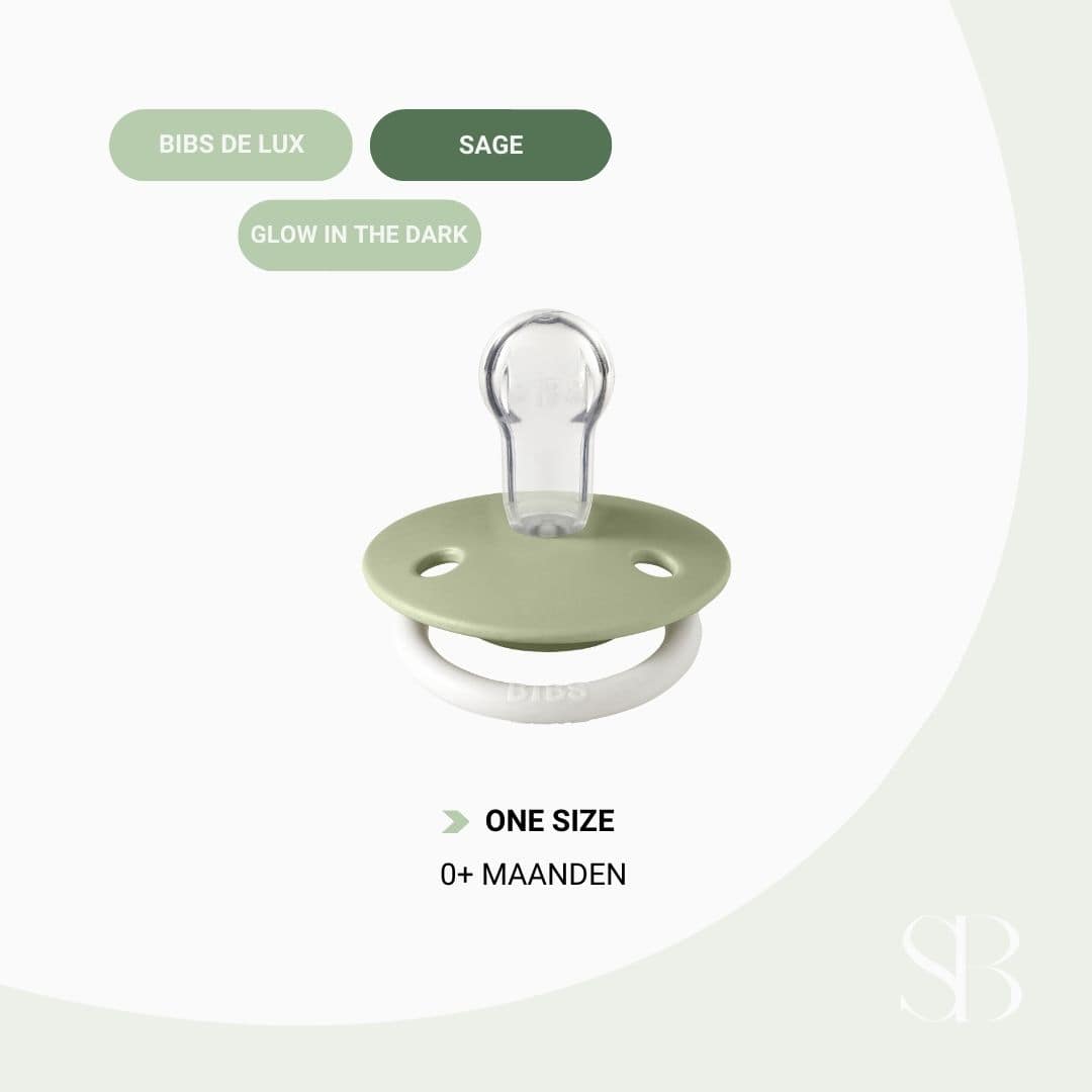 BIBS de lux silicone speen in de kleur sage night
