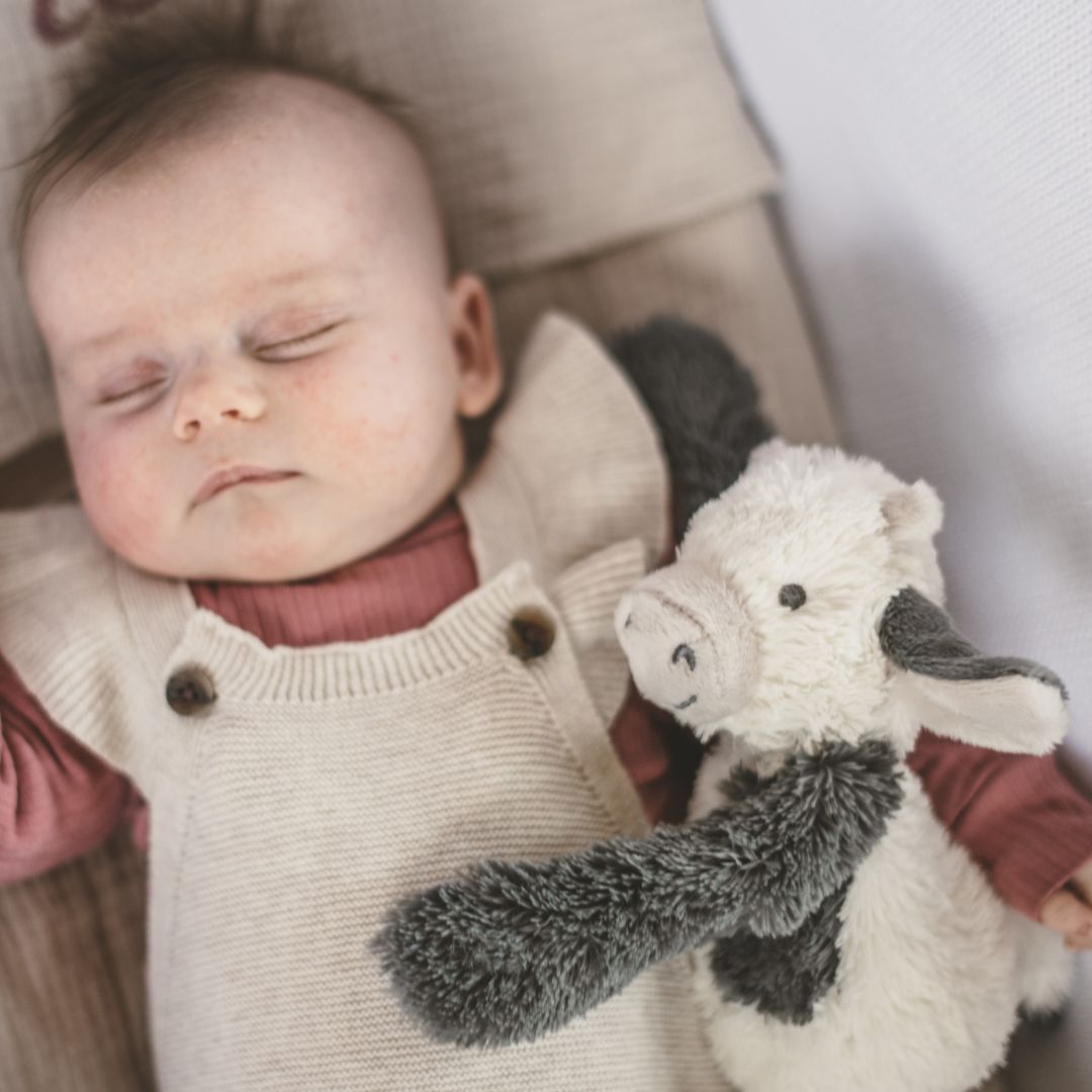 Happy horse knuffel koe cow Casper 28cm