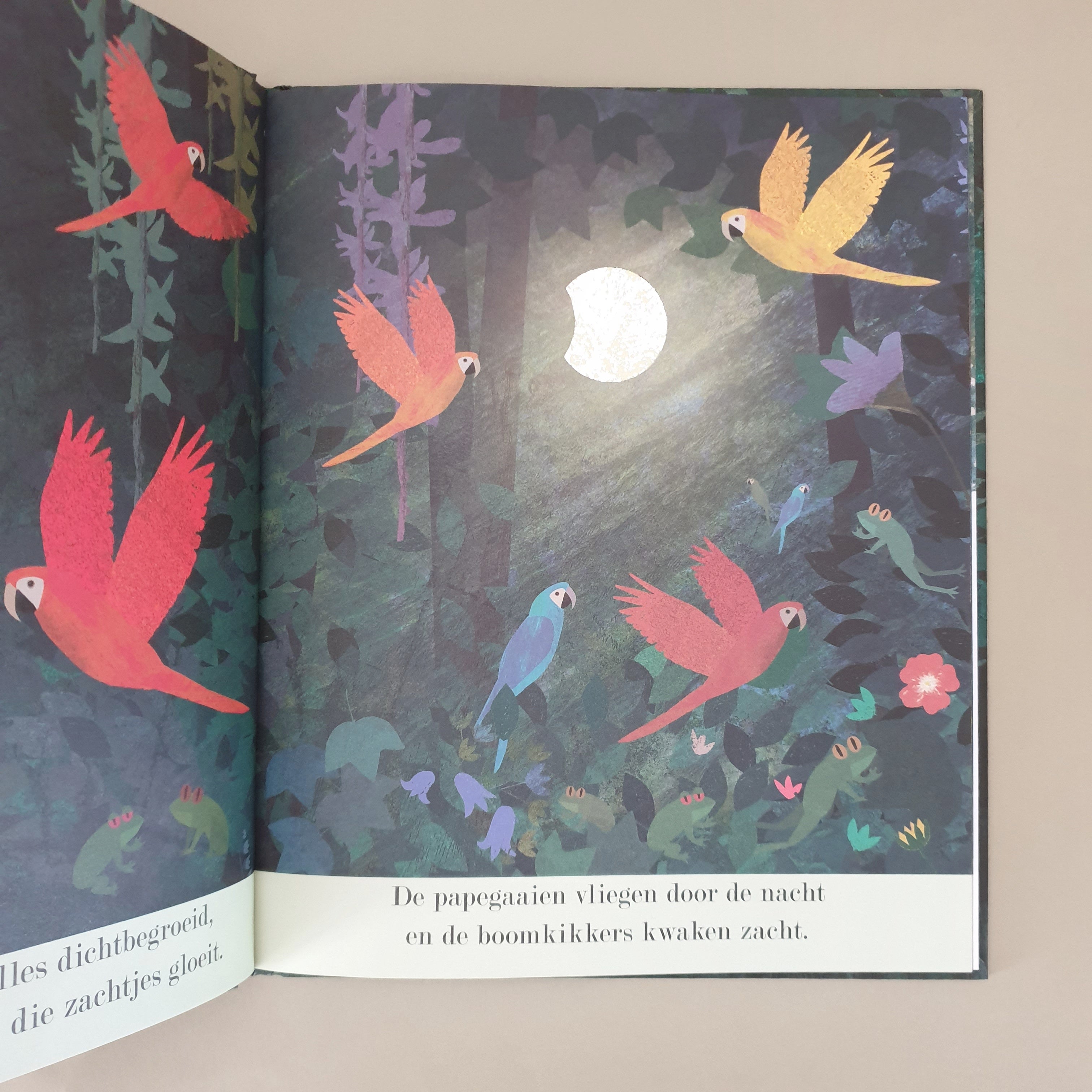 In de maneschijn van Britta Teekentrup