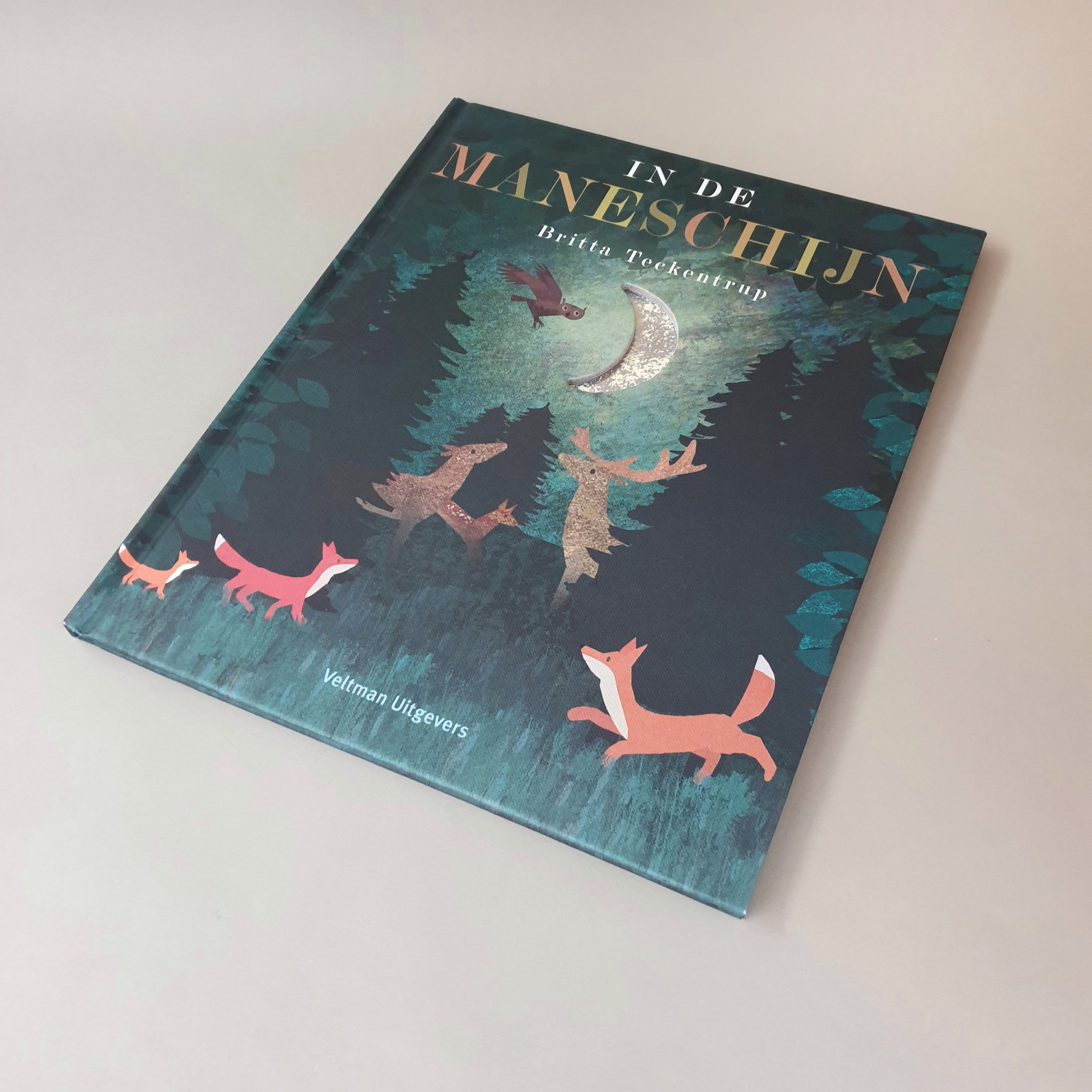 In de maneschijn van Britta Teekentrup