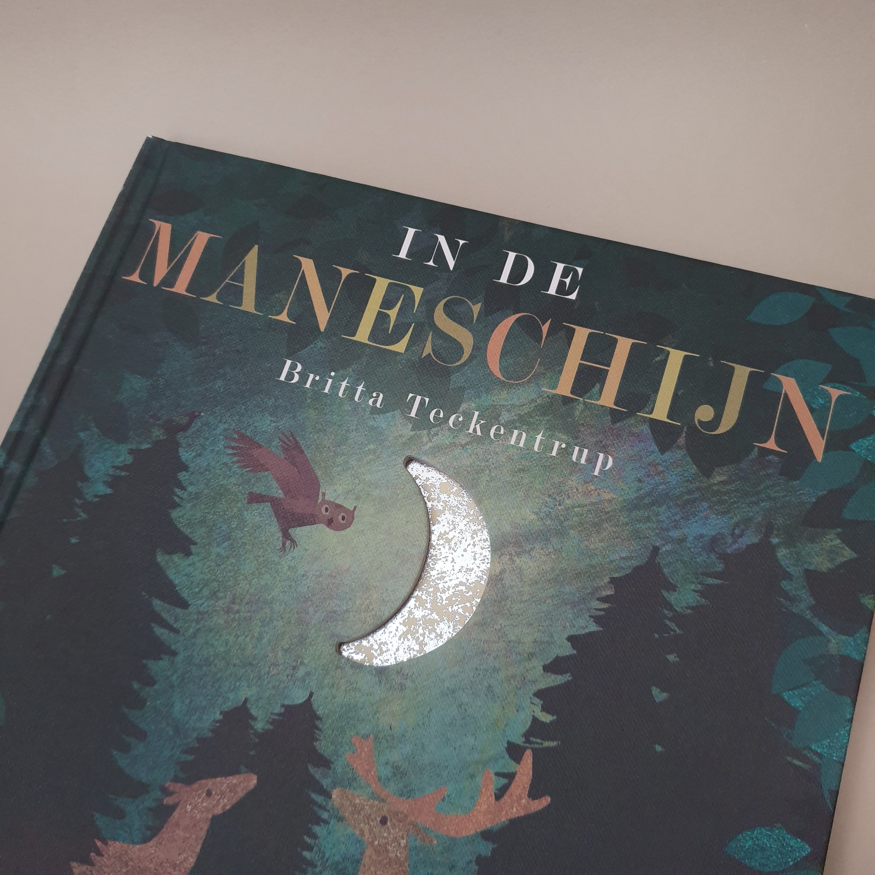 In de maneschijn van Britta Teekentrup