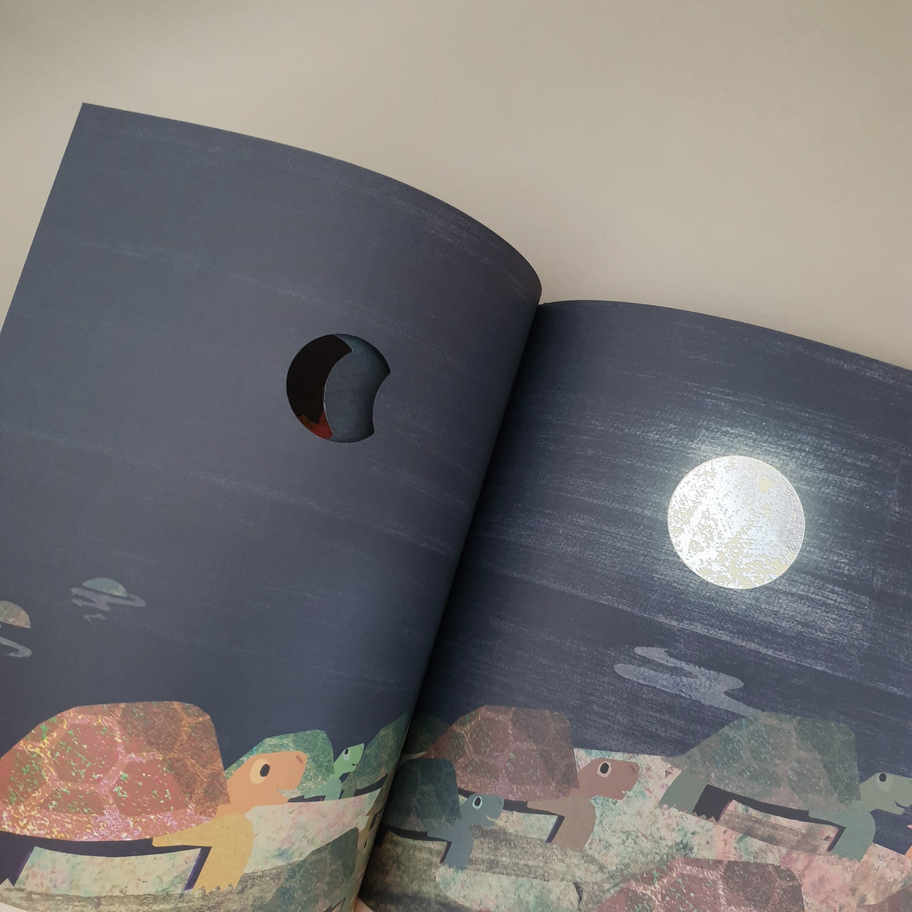 In de maneschijn van Britta Teekentrup