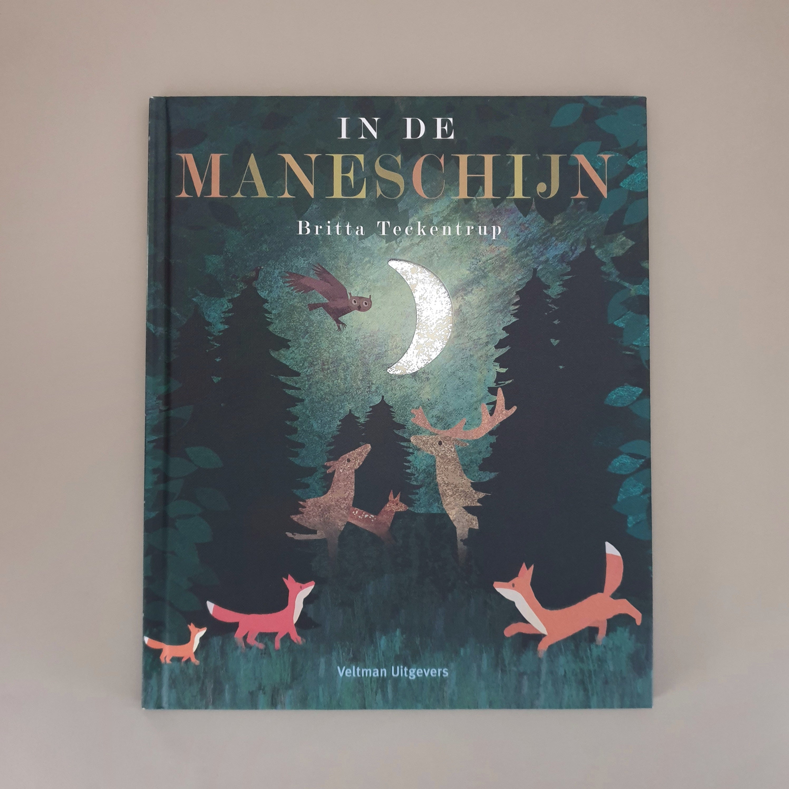 In de maneschijn van Britta Teekentrup