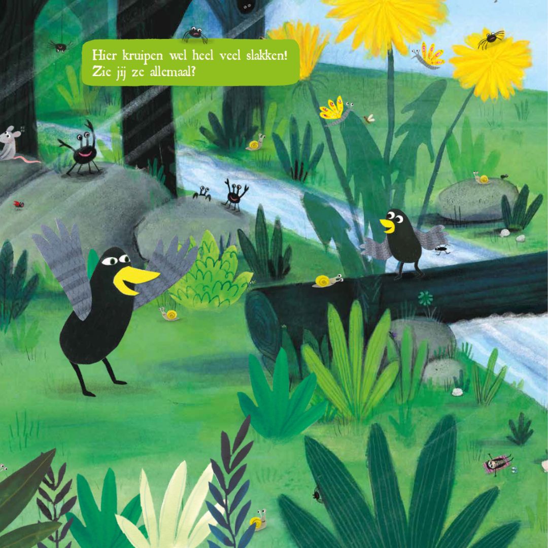 Zoekboek het bos van coco van Loes Riphagen door uitgeverij Gottmer