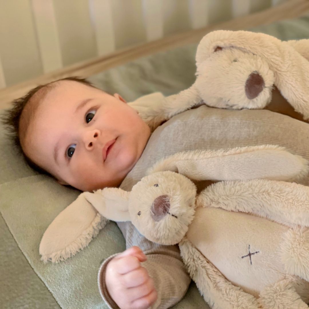 Happy Horse knuffel Rabbit Richie 28cm in de kleur beige