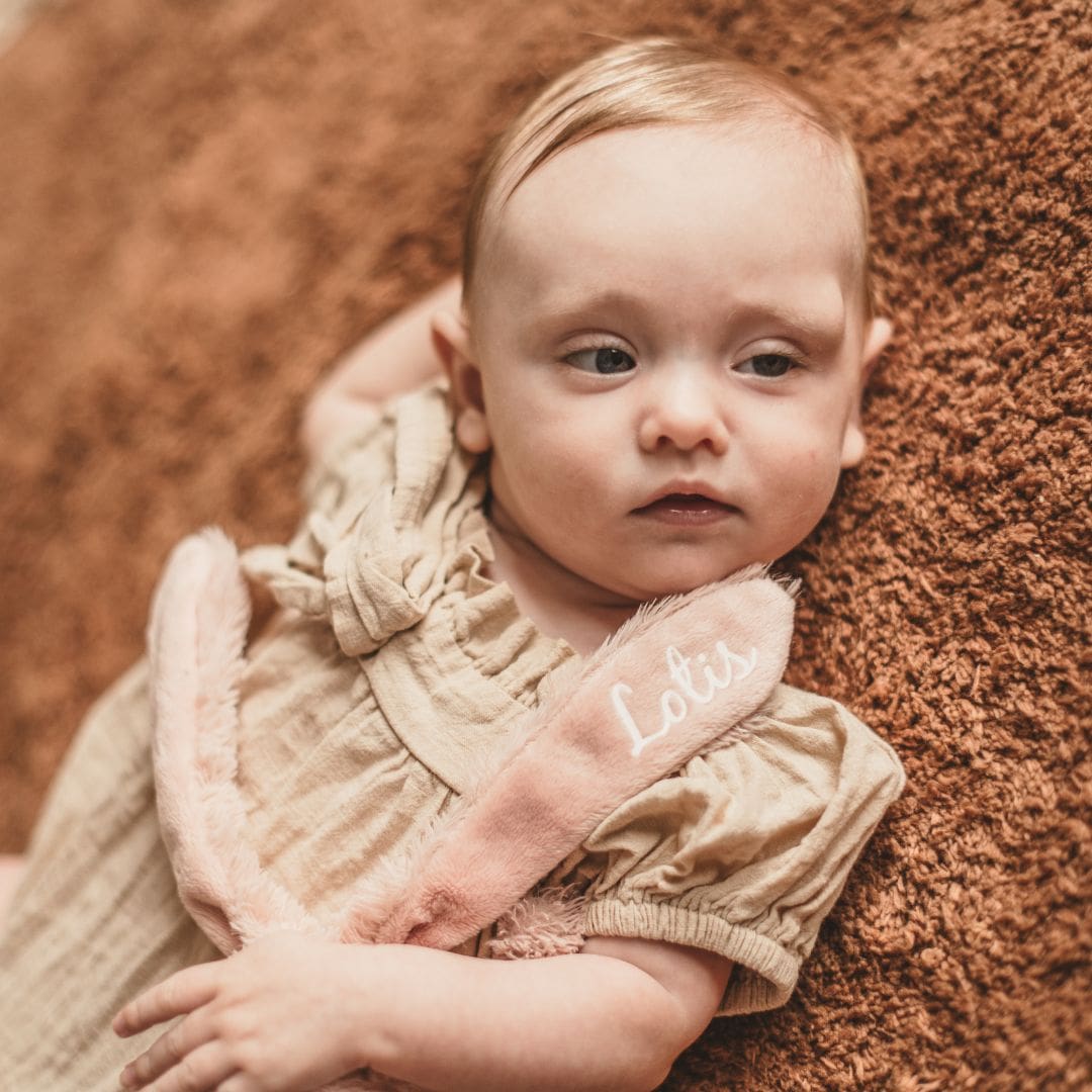 Happy Horse knuffel 28cm oud roze met naam