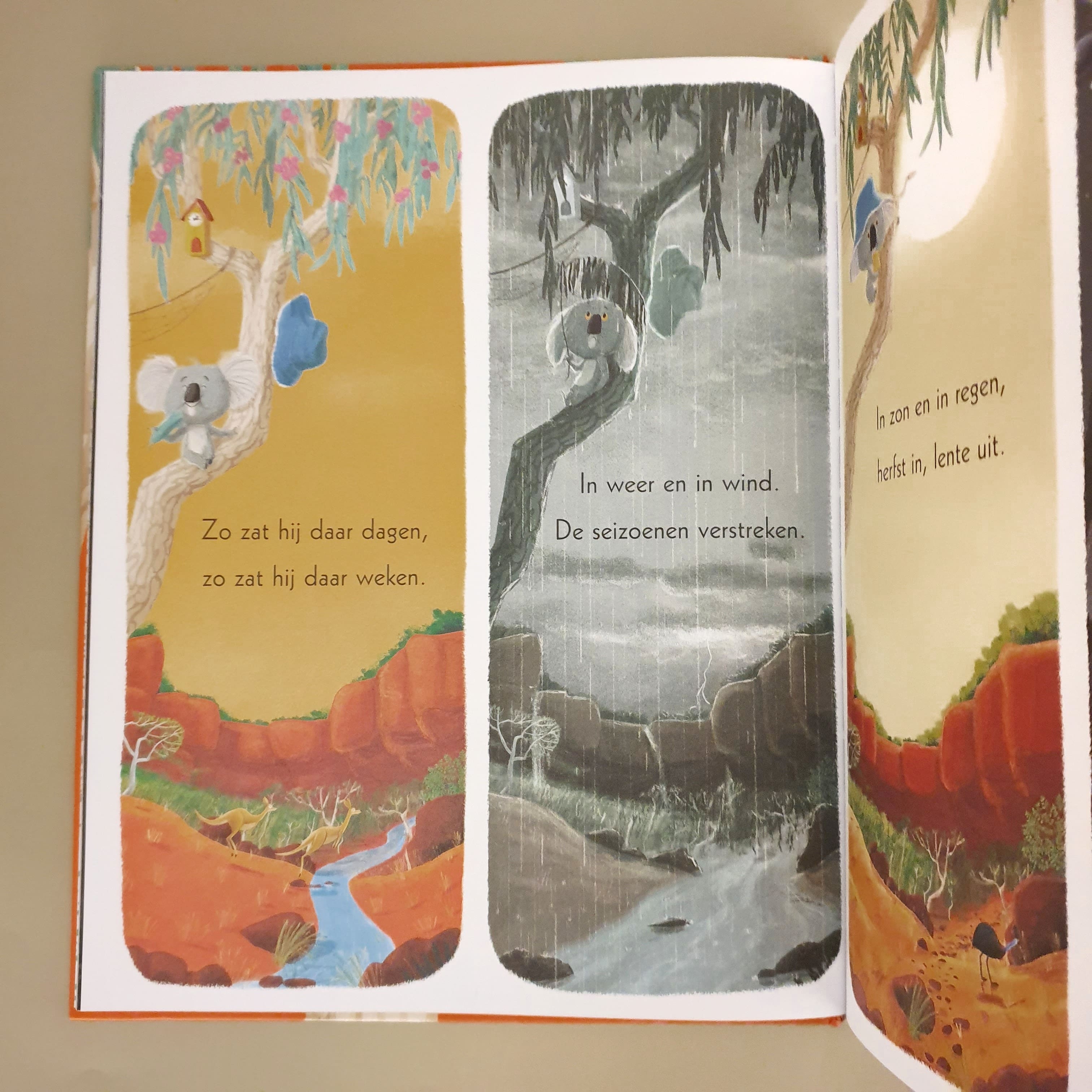 Laat maar los koala | Rachel Bright