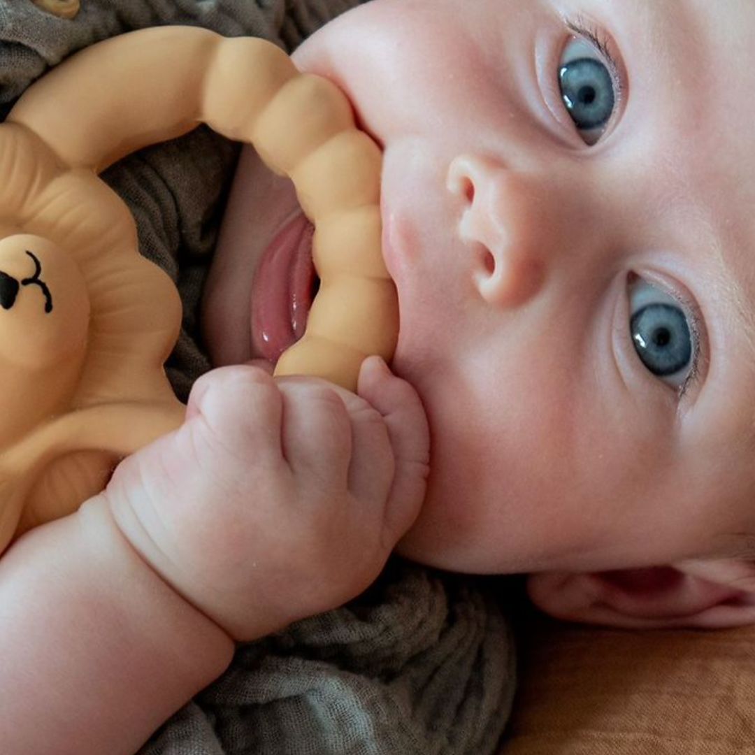 Natruba bijtring leeuw van 100% natuurlijk rubber