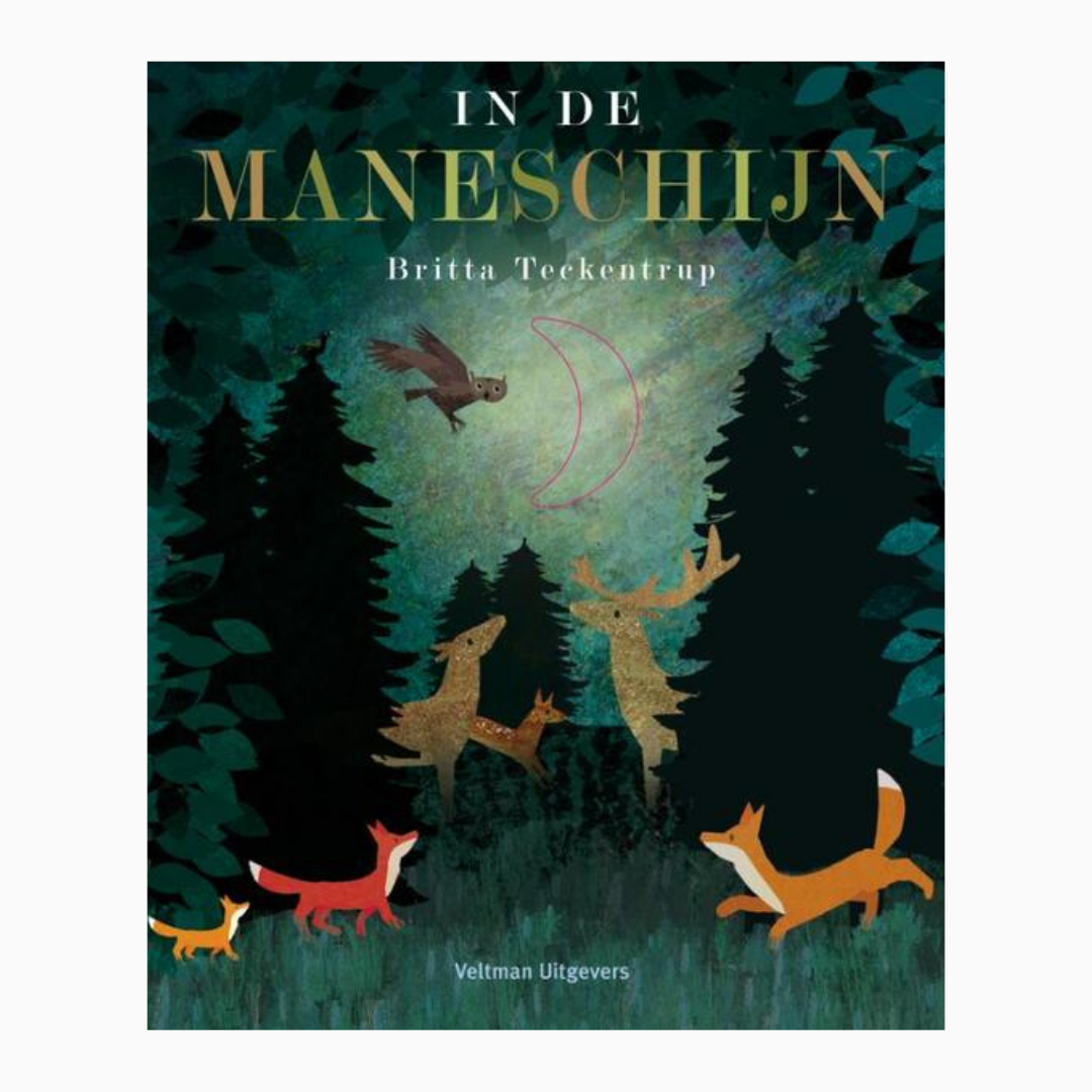 In de maneschijn van Britta Teekentrup