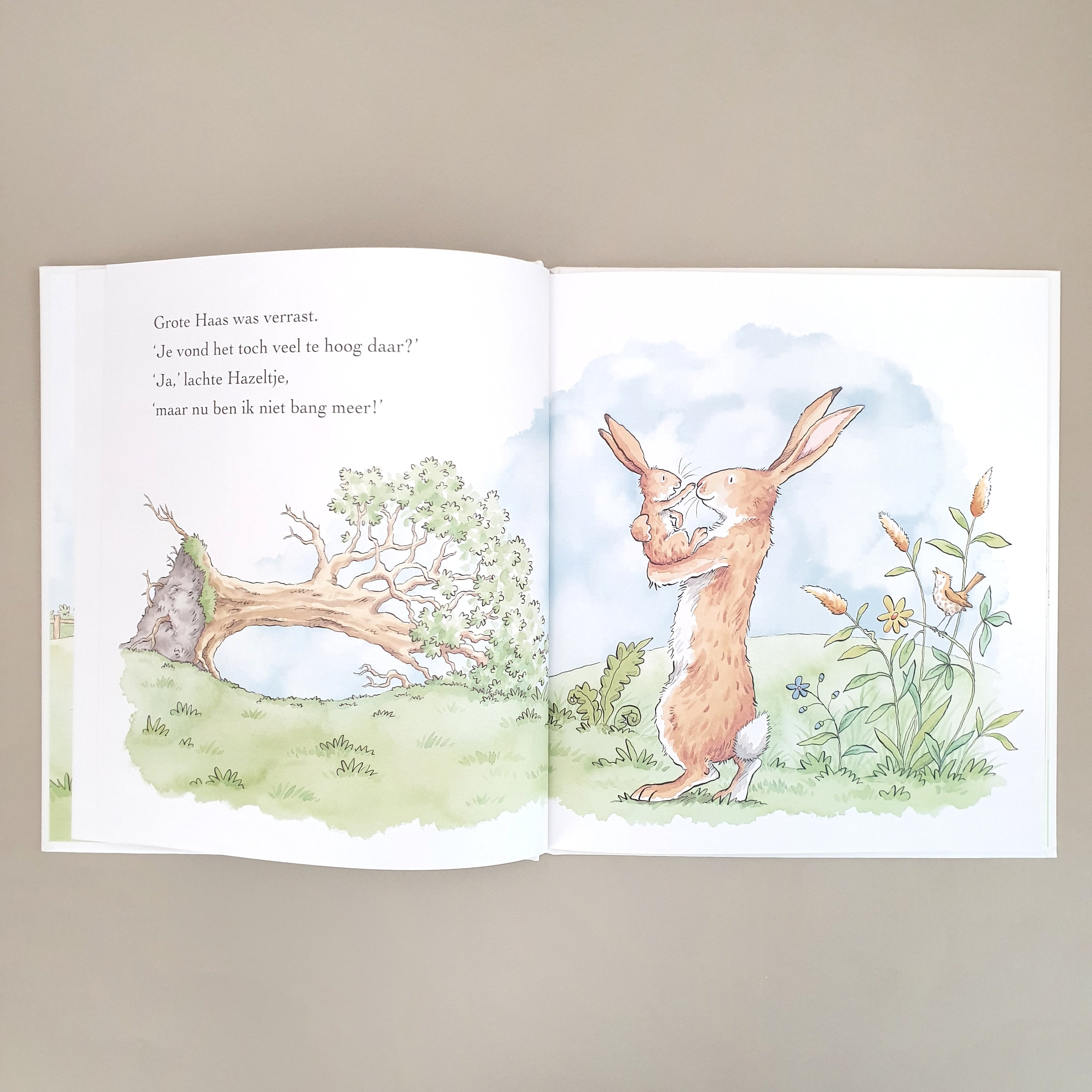 Uitgeverij Lemniscaat prentenboek Raad eens hoeveel ik van je hou altijd en over Sam McBratney