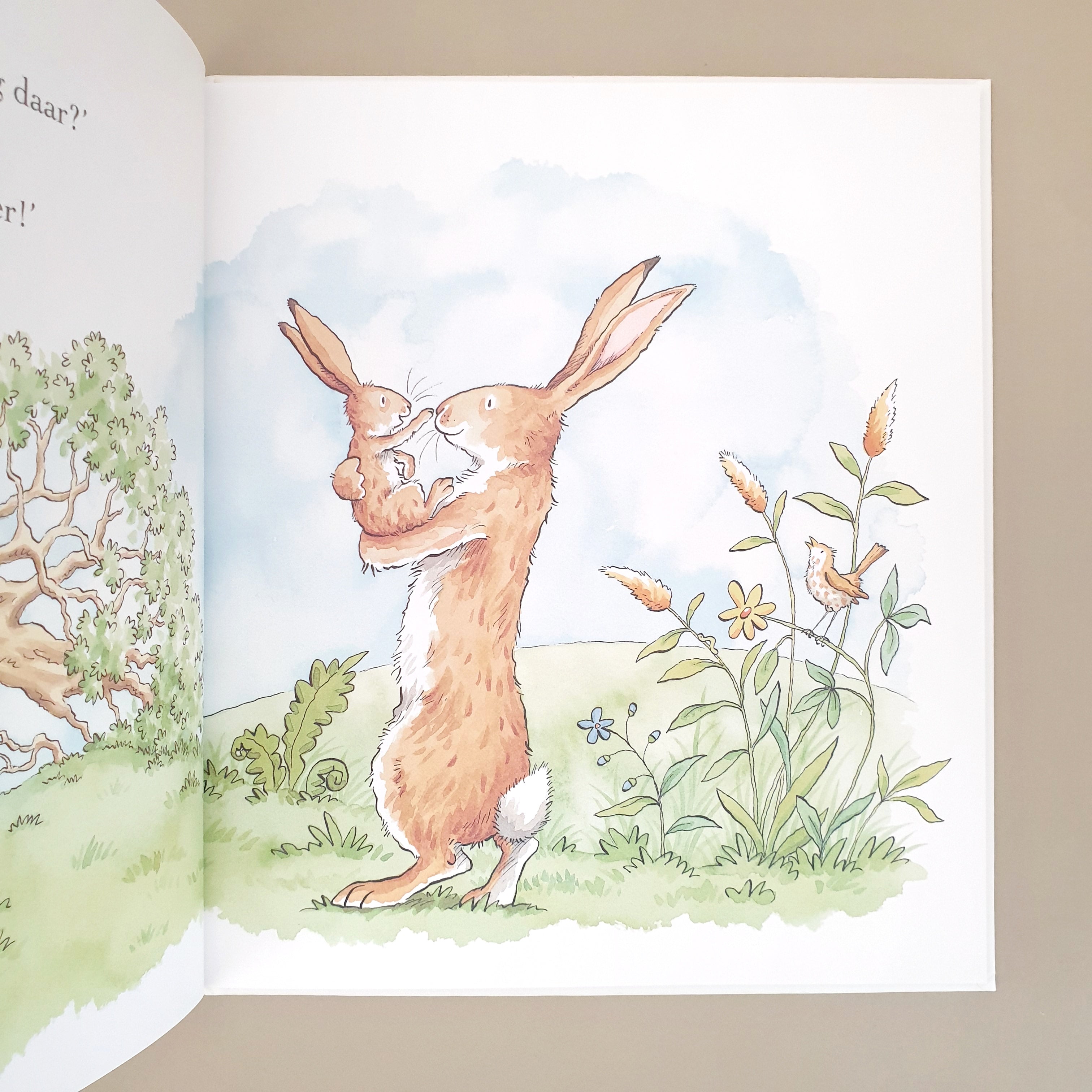 Uitgeverij Lemniscaat prentenboek Raad eens hoeveel ik van je hou altijd en over Sam McBratney