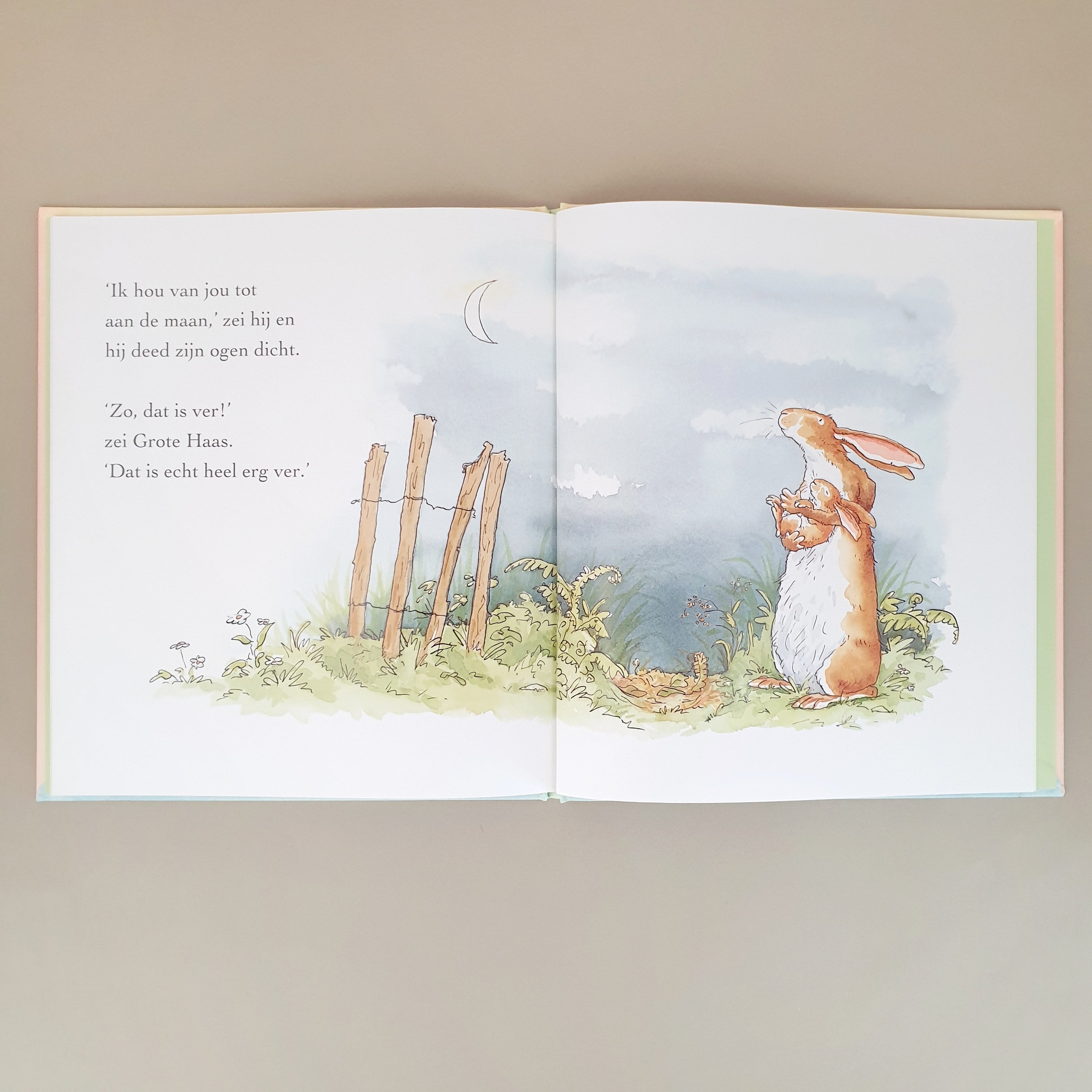 Uitgeverij Lemniscaat prentenboek Raad eens hoeveel ik van je hou door auteur Sam McBratney