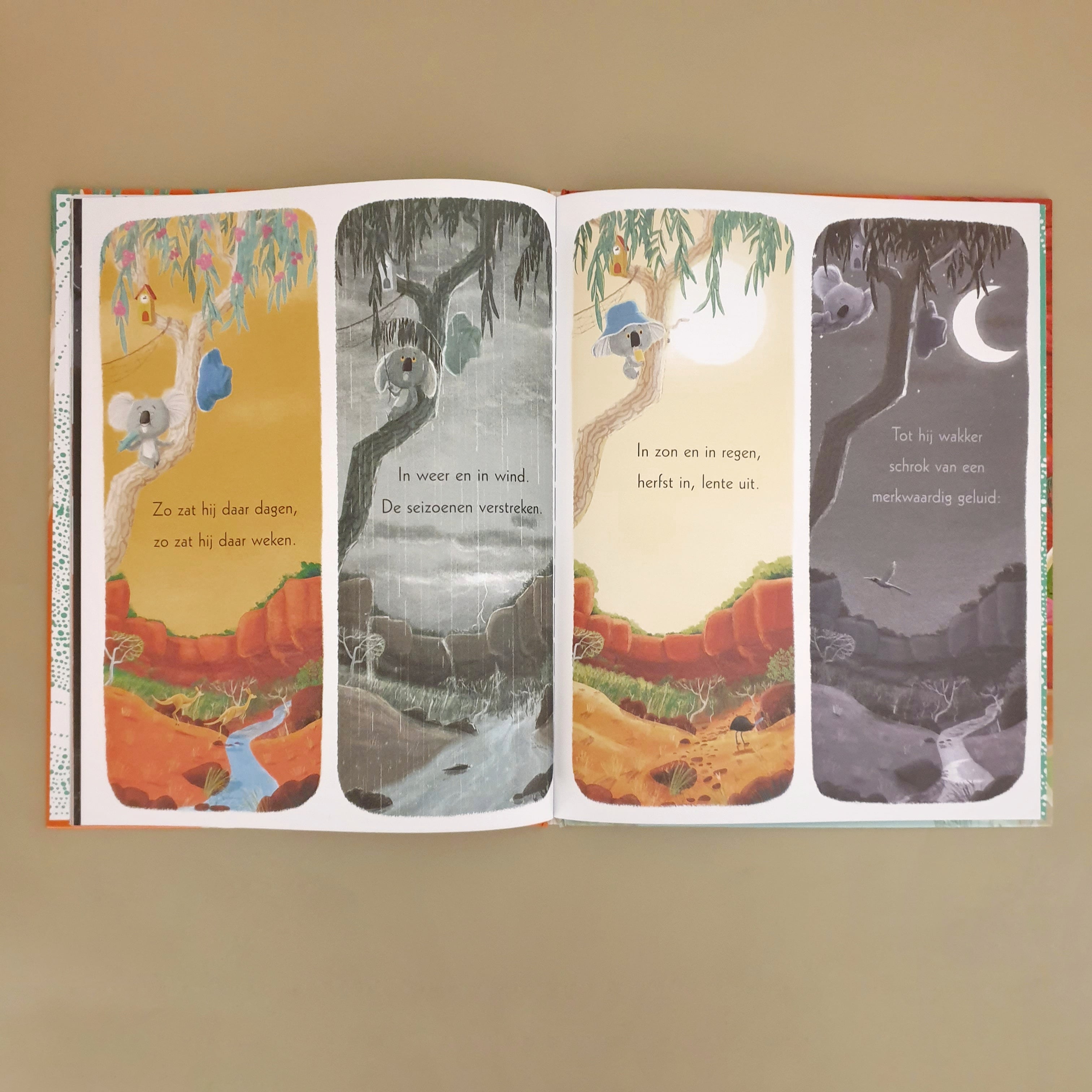 Laat maar los koala | Rachel Bright