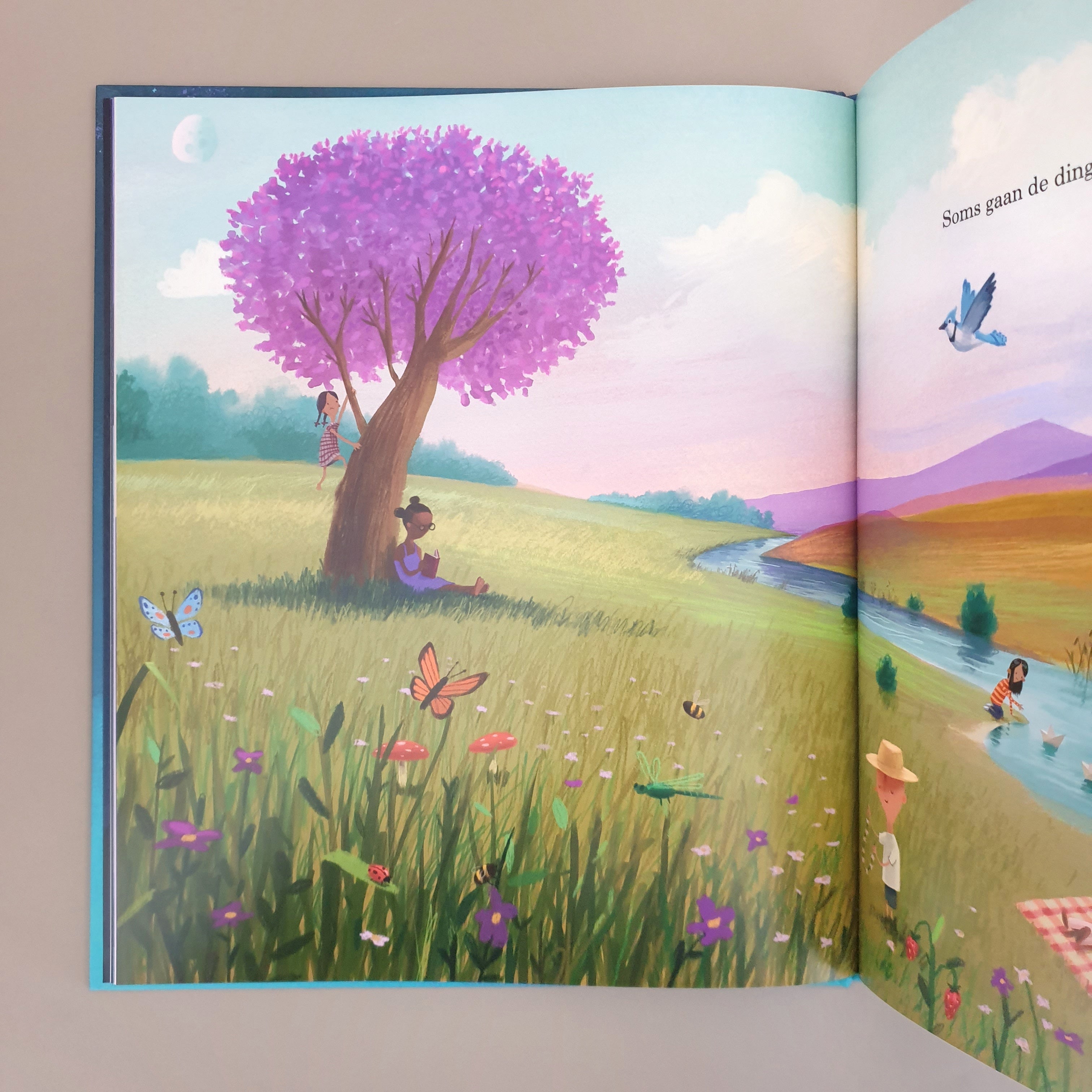 Prentenboek Samen hier van Oliver Jeffers bij Studio Bambacht