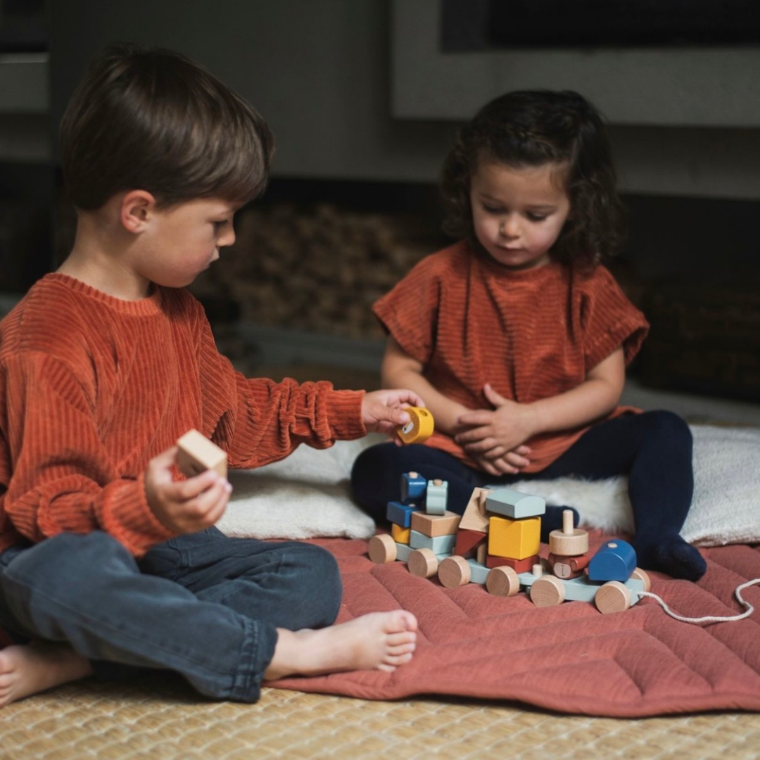 Trixie houten dierentrein te koop bij Studio Bambacht