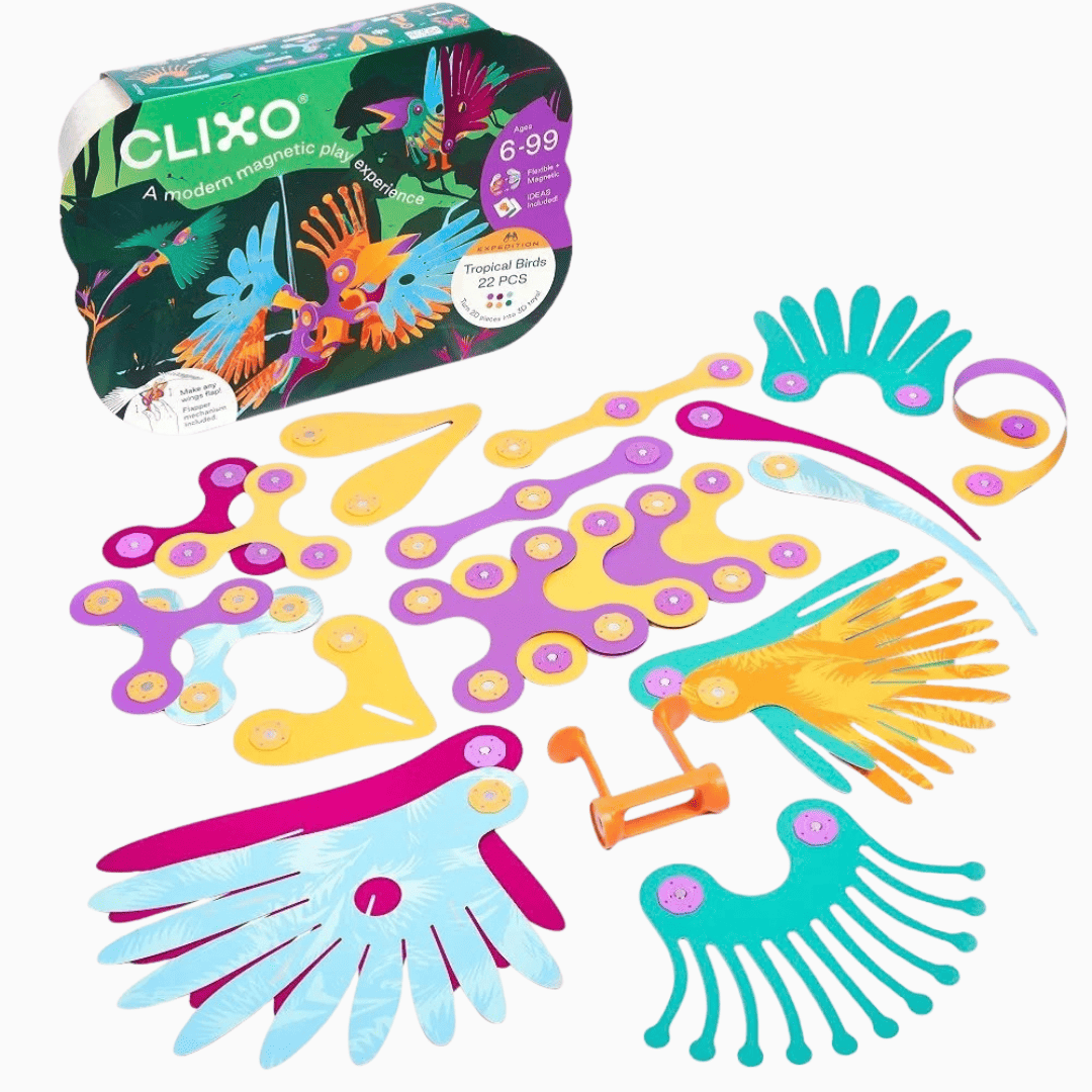 Clixo magnetische speelgoed bouwset tropical birds met 24 bouwstenen