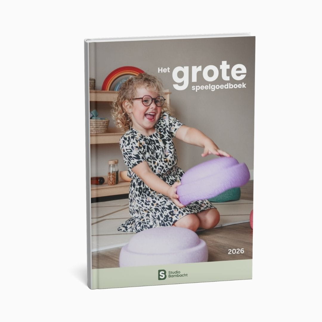 Het grote speelgoedboek van tudio Bambacht 2026