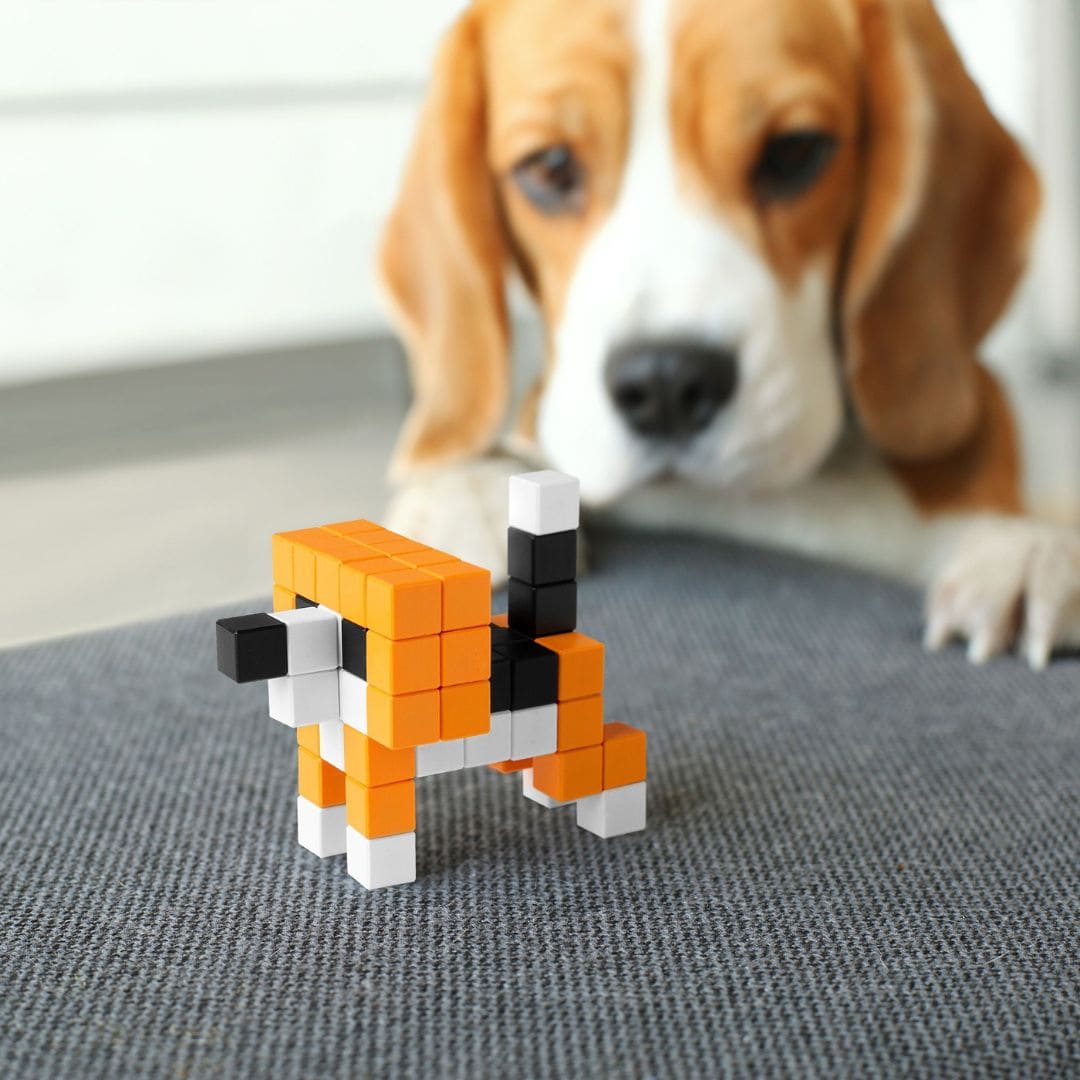 PIXIO. magnetische blokjes - 400 stuks