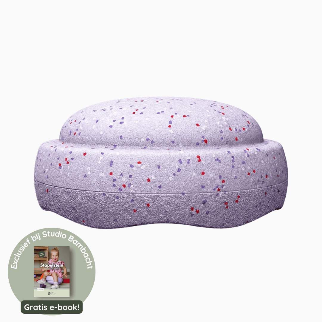 Stapelstein grow steen winter special violet