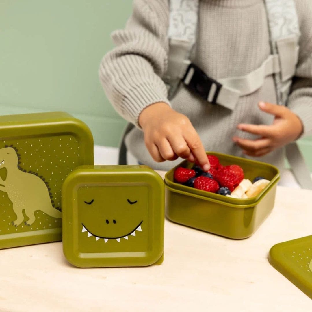 Trixie snackdoosjes set 3-delig uit de collectie Mr. Dino