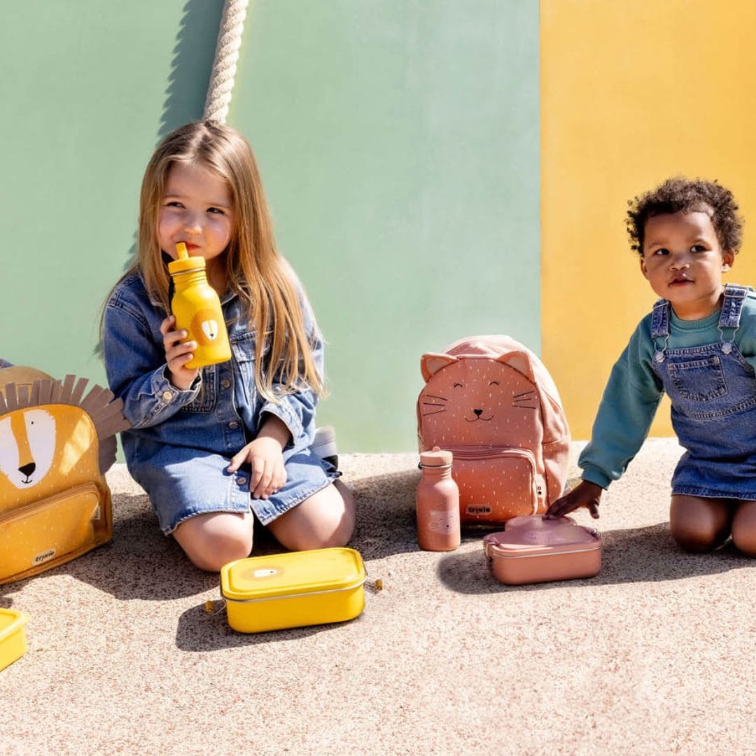 Trixie snackdoosje set 3-delig uit de collectie Mr. Lion