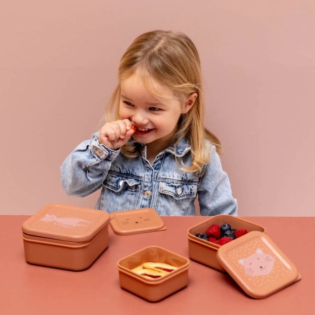 Trixie snackdoosje set 3-delig uit de collectie Mrs. Cat