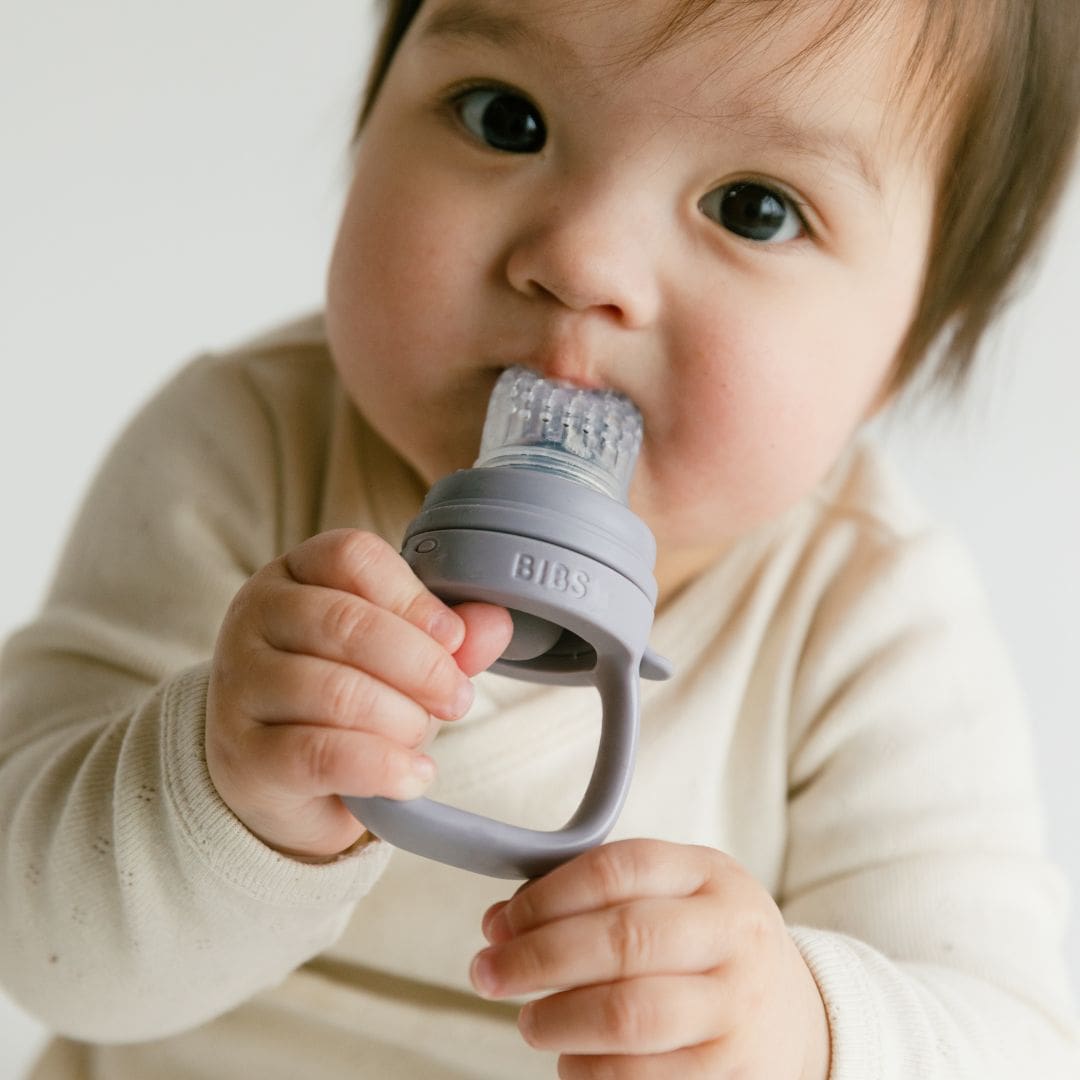 BIBS baby feeder siliconen fruitspeen in de kleur fossil grey paars