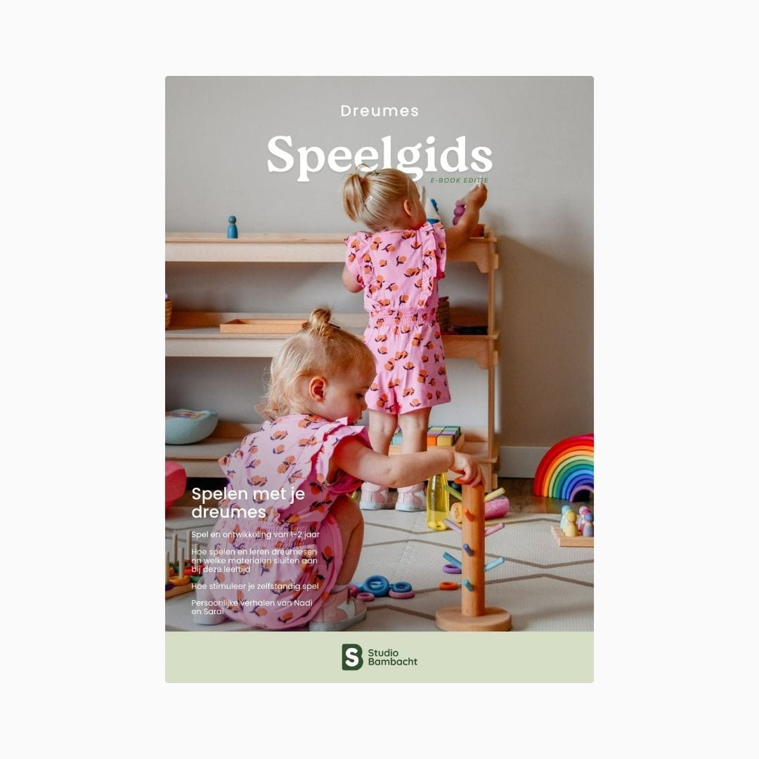 Dreumes speelgids cover