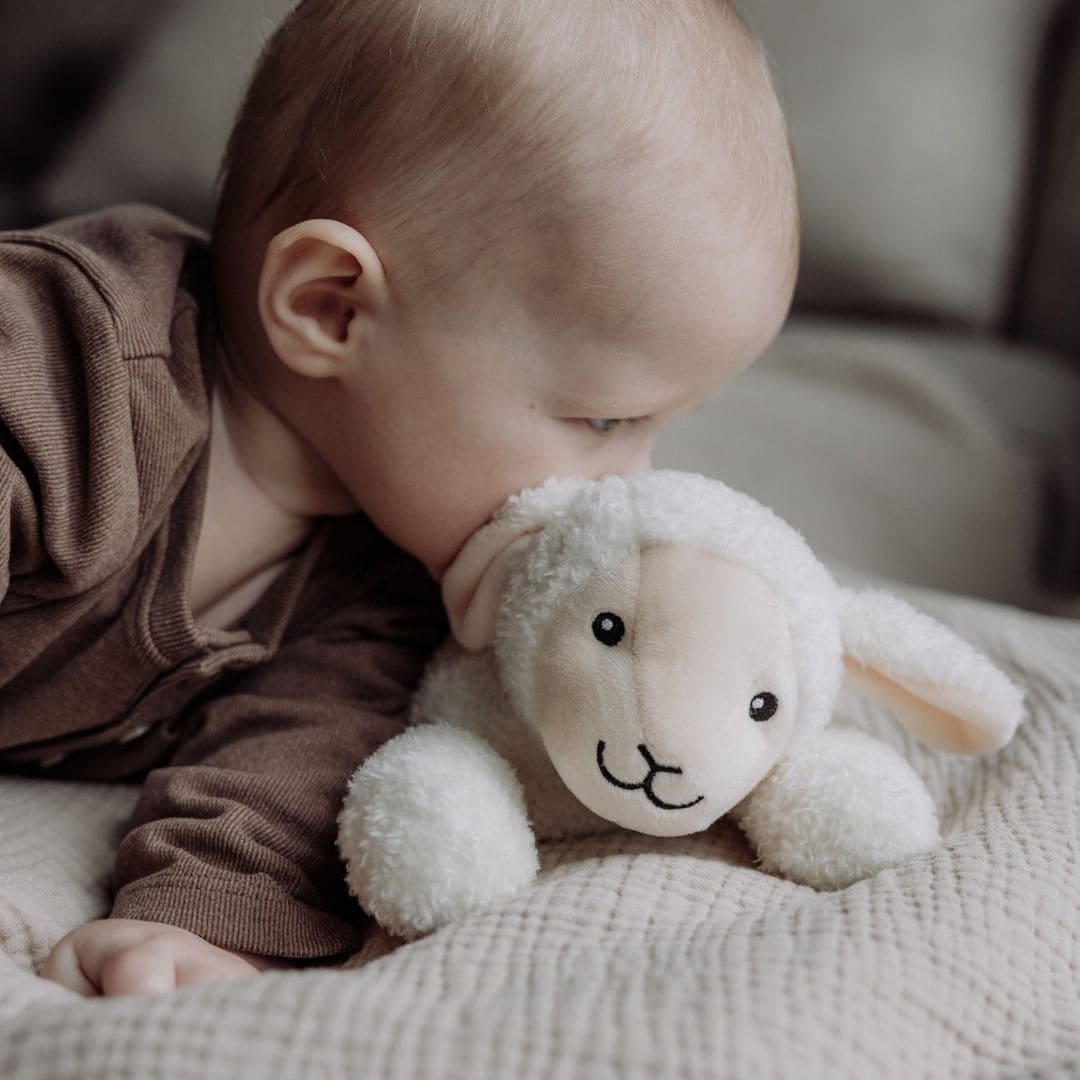 Flow Amsterdam hartslagknuffel met white noise knuffel schaap rosie