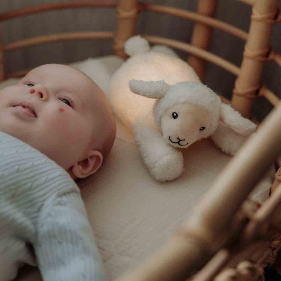 Flow Amsterdam nachtlamp schaap Rosie met rood en geel licht