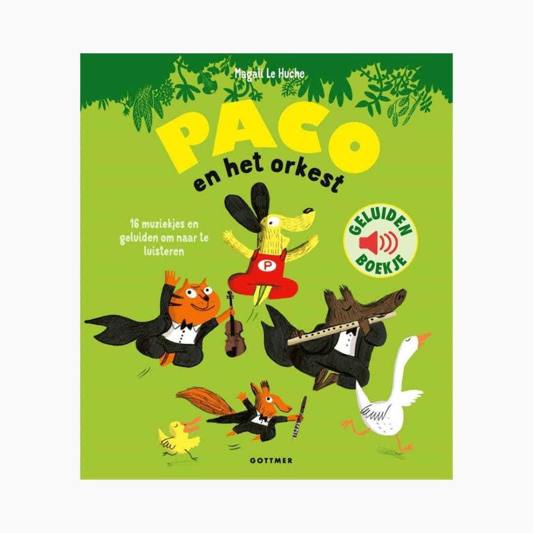 Geluidenboek paco en het orkest van uitgeverij gottmer