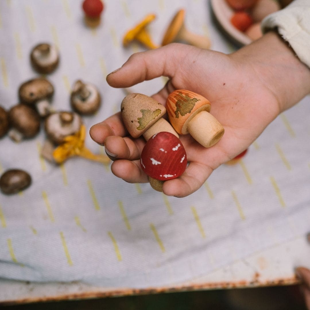 Grapat houten paddenstoelen set 