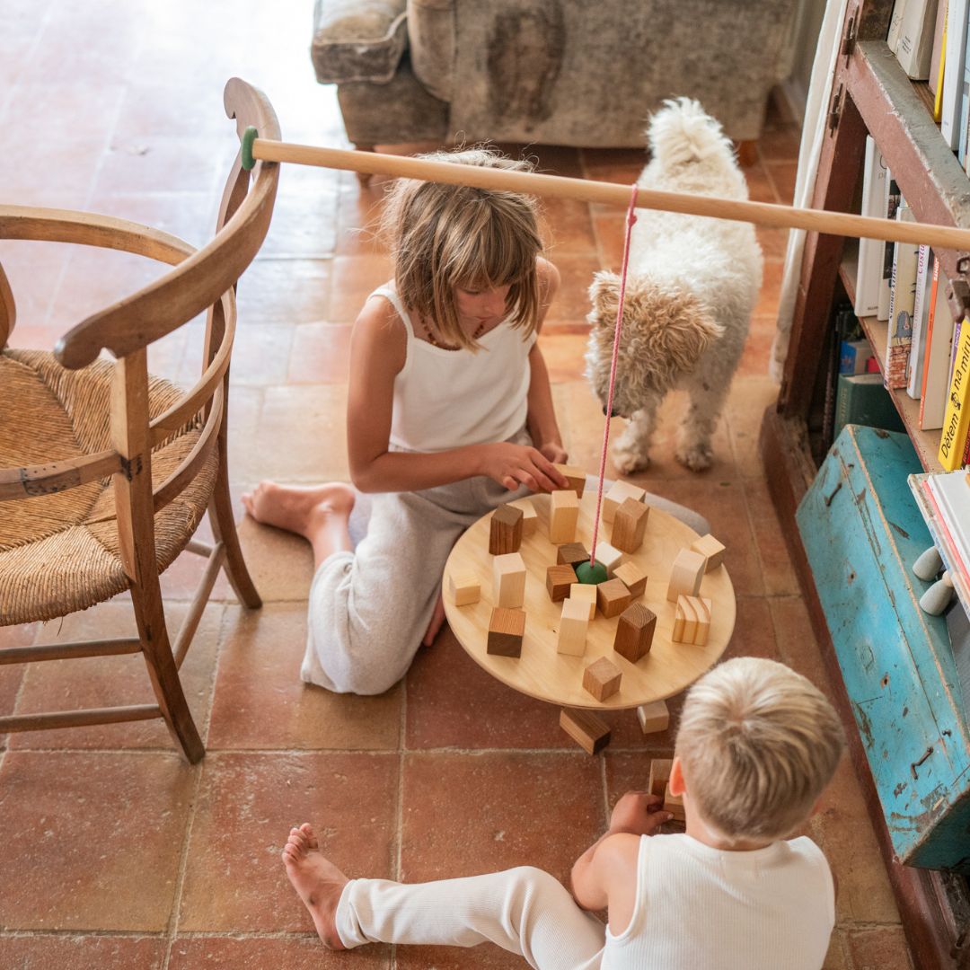 Grapat houten spel The Pendulum met balansbord en houten blokken