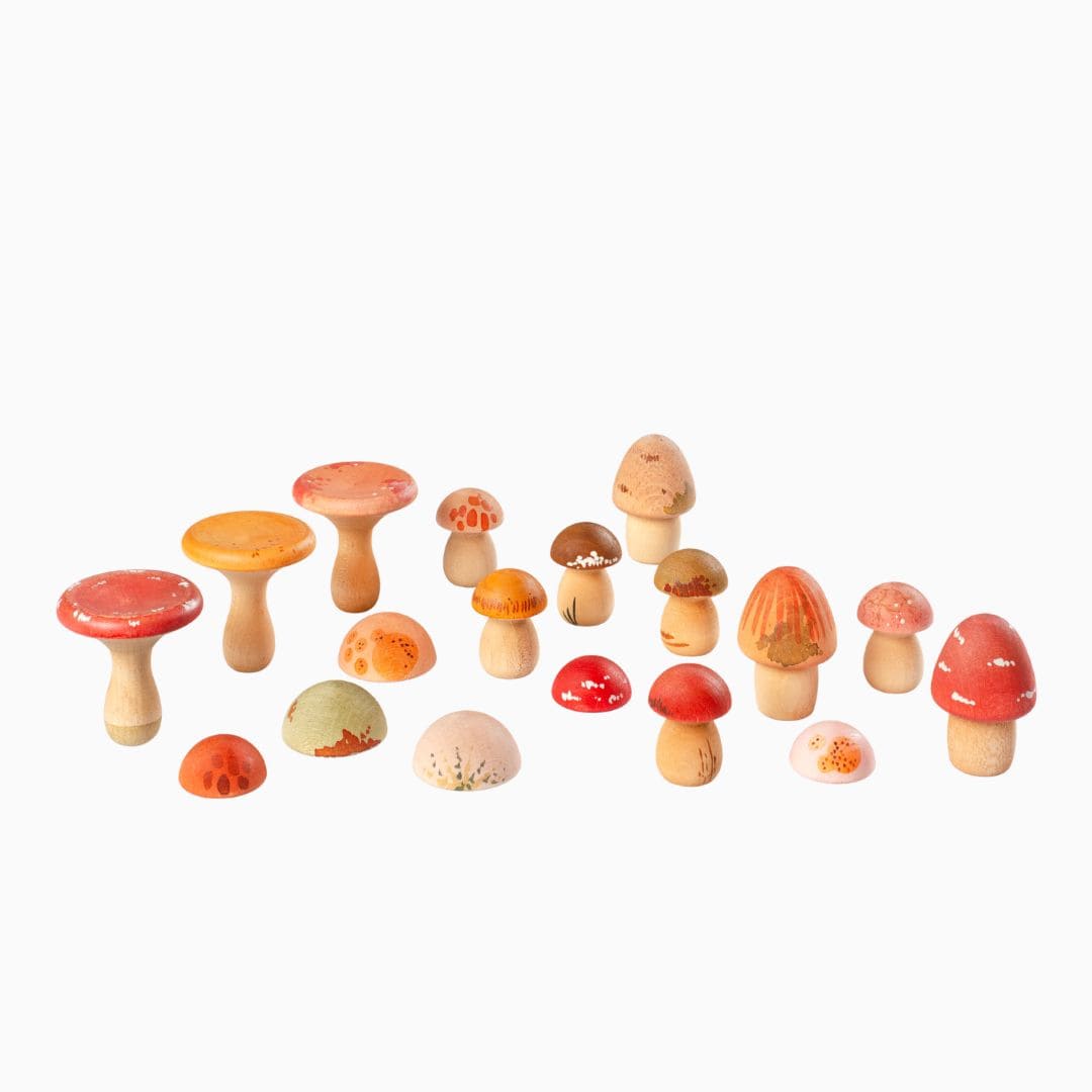 Grapat houten paddenstoelen set