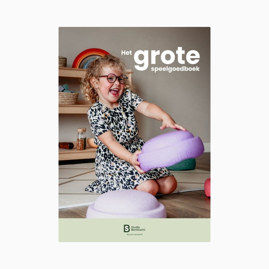 Het grote Studio Bambacht speelgoedboek cover