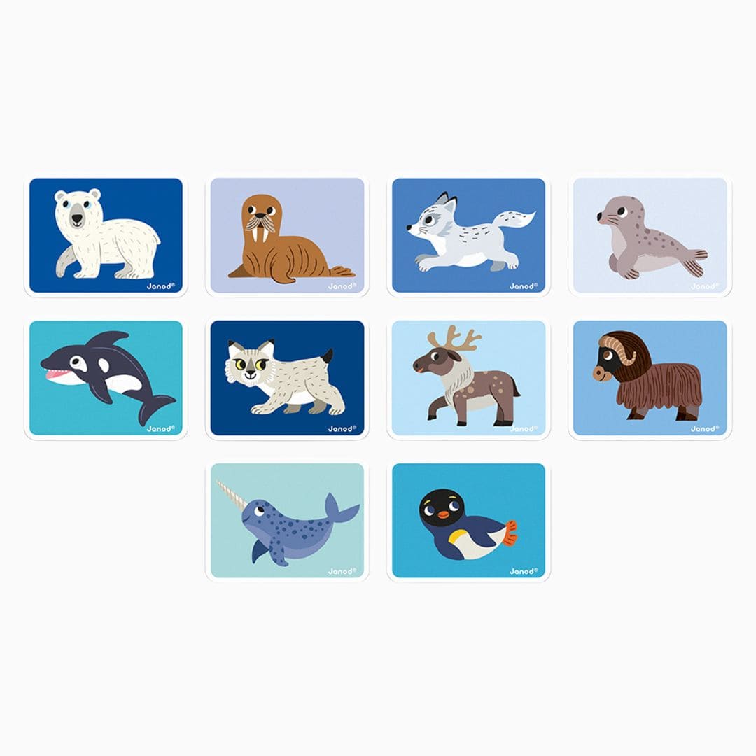 Janod magneetboek - pooldieren