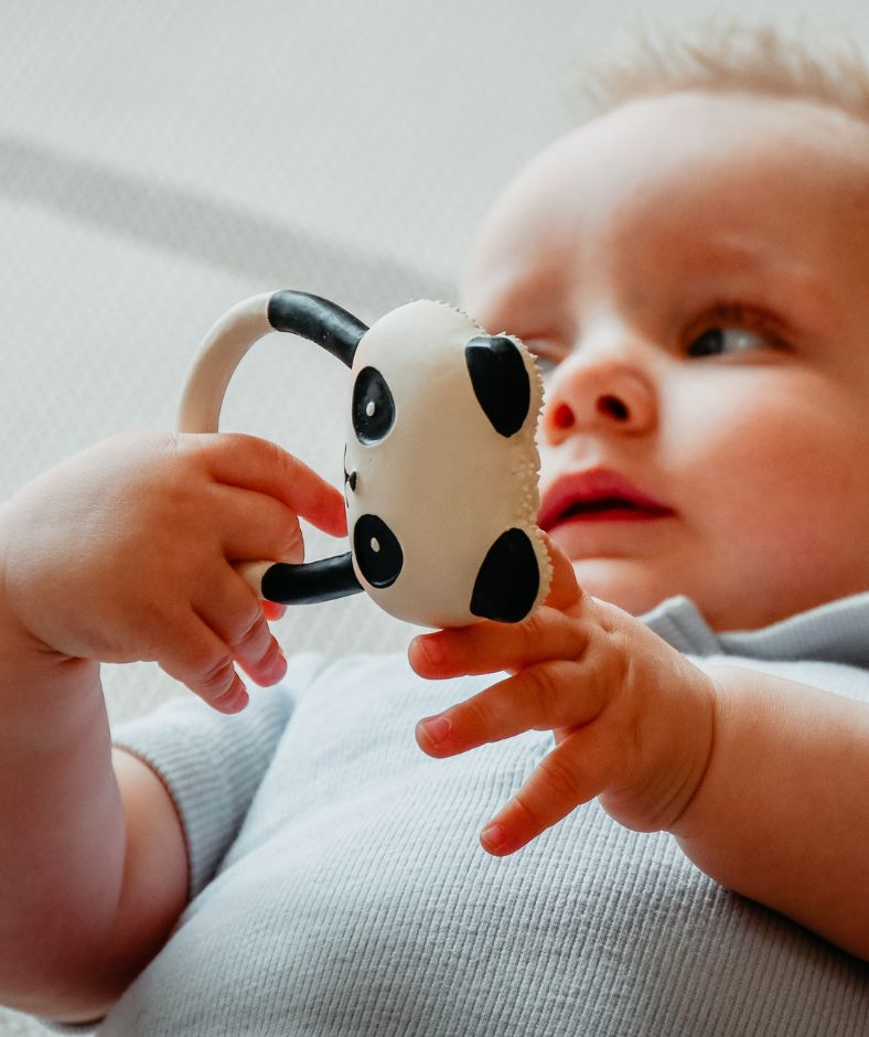 Lanco bijtspeelgoed van natuurrubber