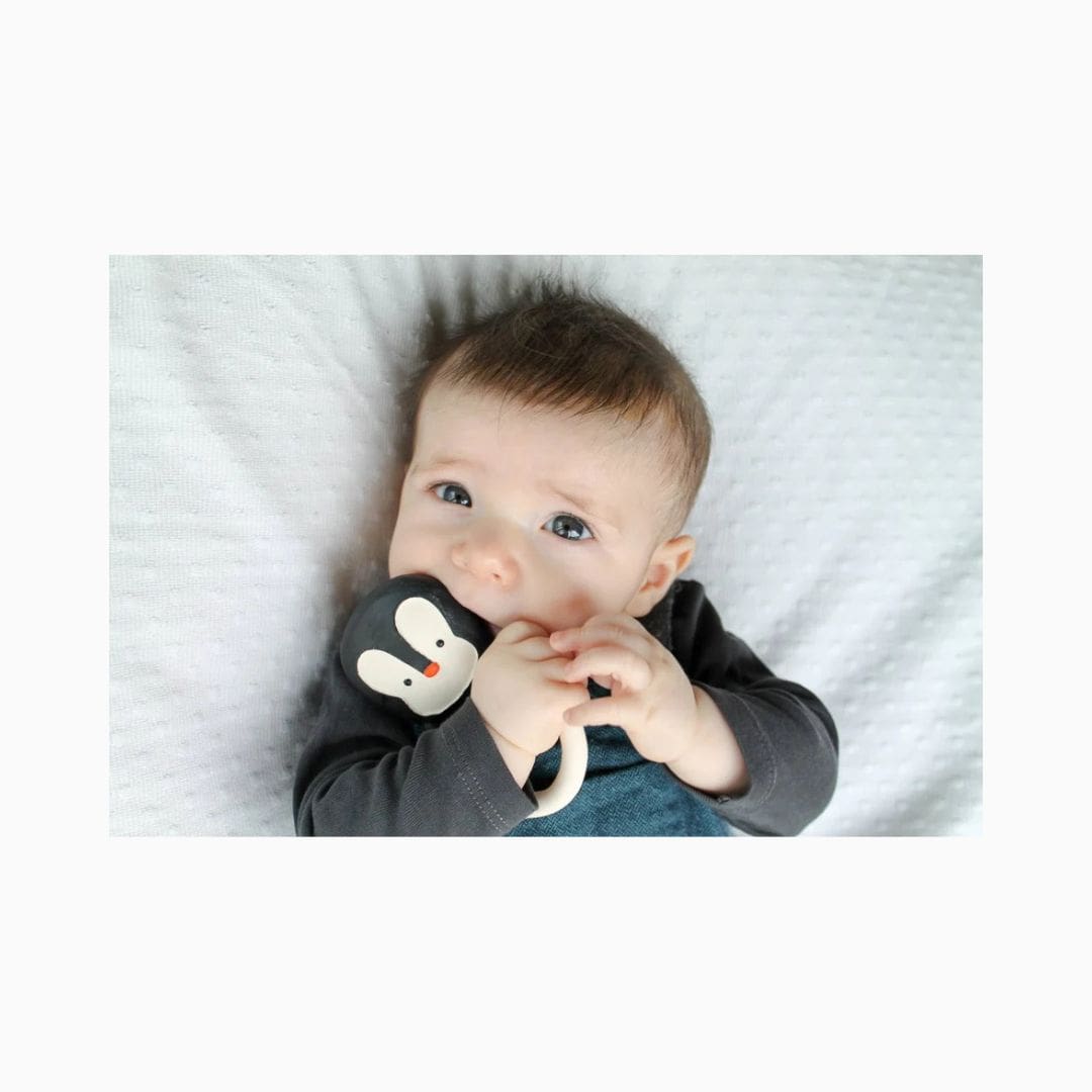 Lanco bijtring pinguïn