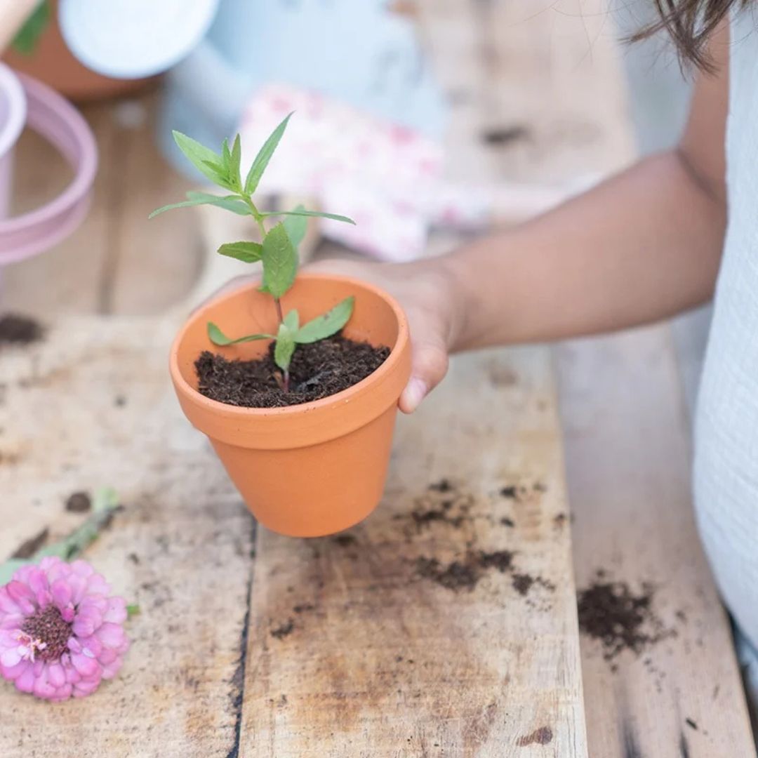 Little Dutch plantenpotje Vergeet-Mij-Niet