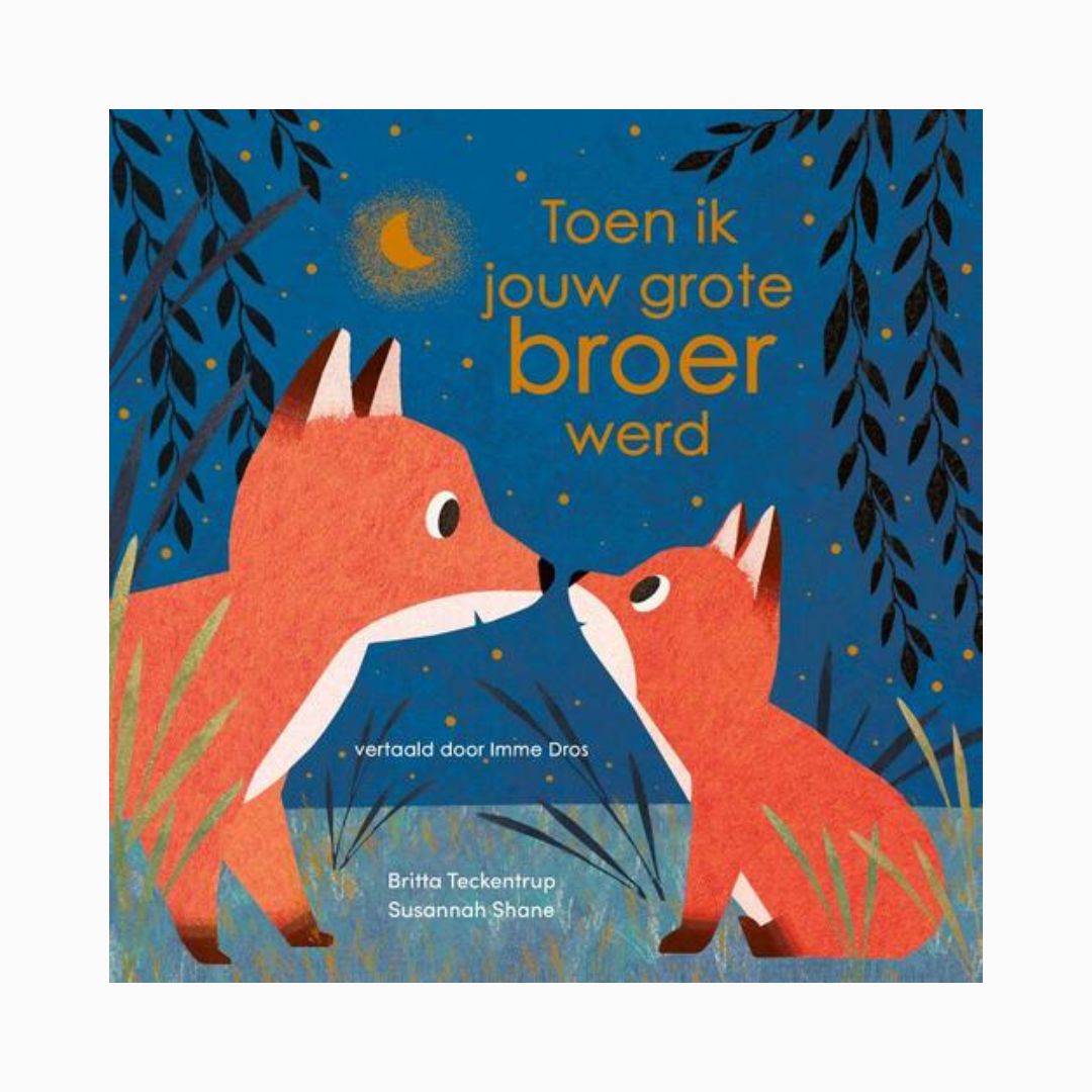 Prentenboek toen ik jouw grote broer werd | Britta Teckentrup