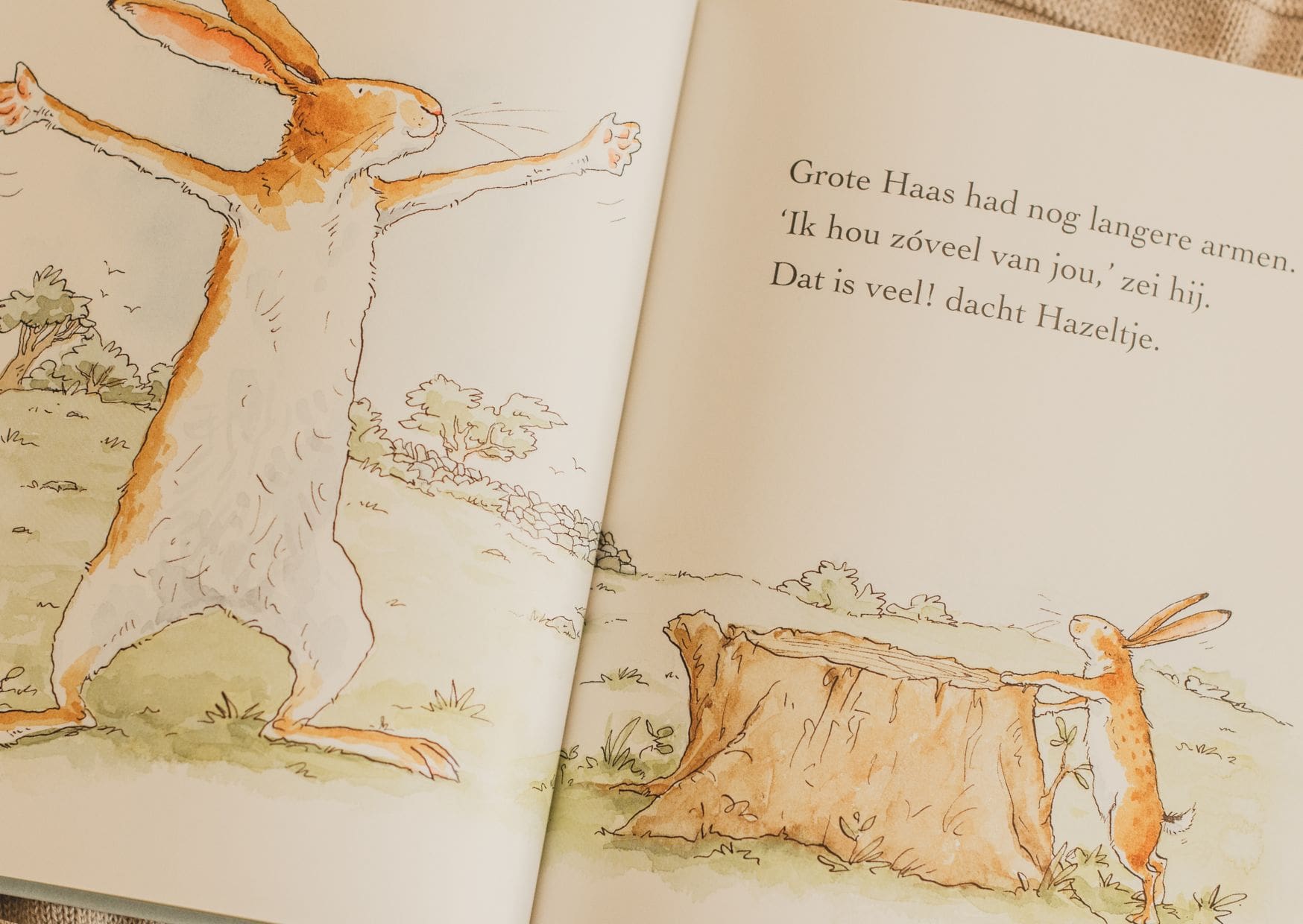 Kinderboek Raad eens hoeveel ik van je hou van Sam McBratney