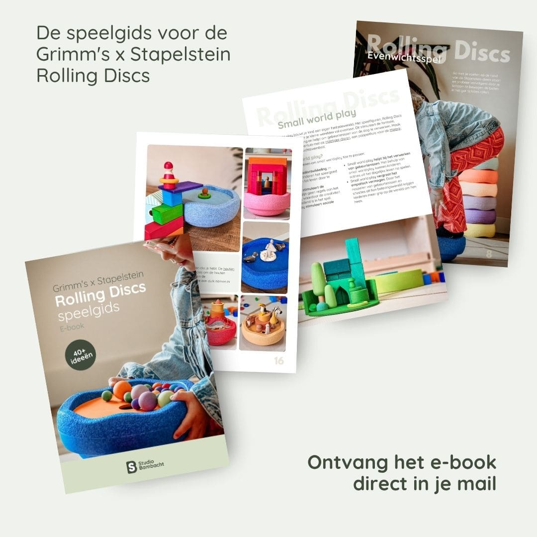 Overzicht van de Rolling Discs speelgids van Studio Bambacht