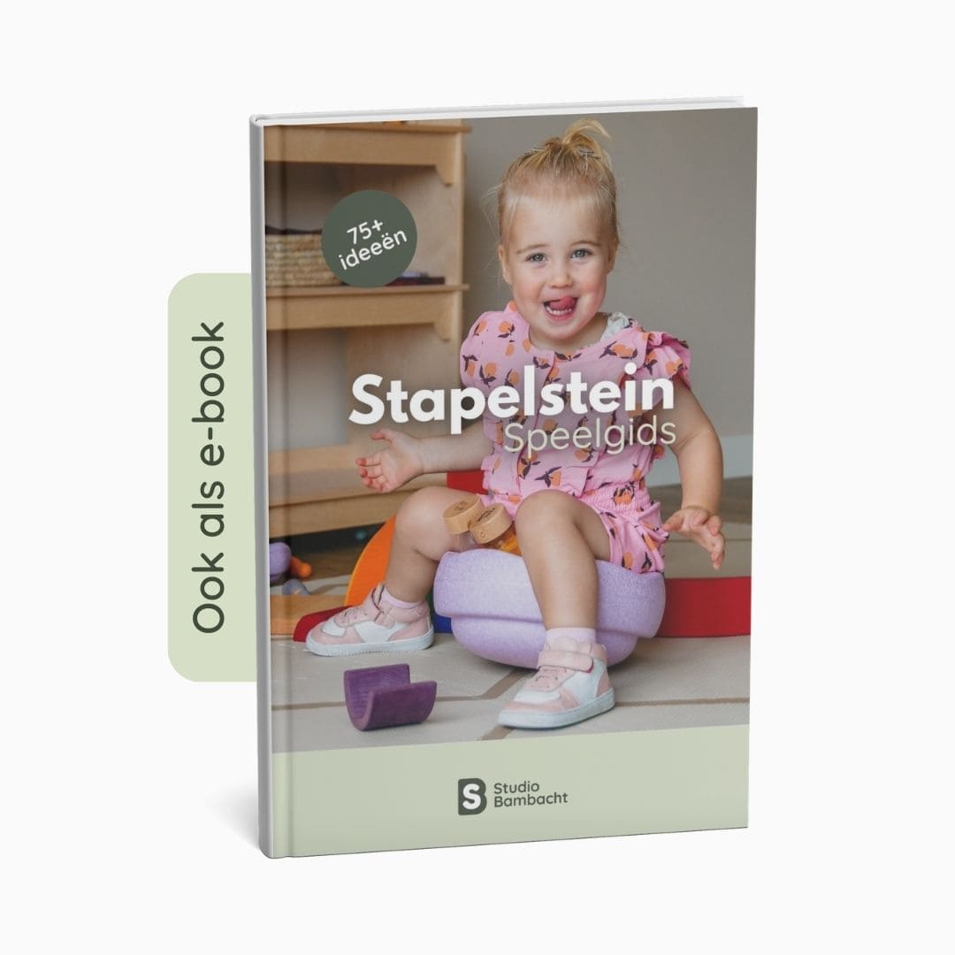 Stapelstein speelgids voorkant